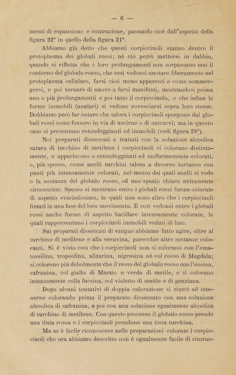 menti di espansione e contrazione/passando cioè dall’aspetto della figura 22^ in quello della figura 21^. Abbiamo già detto che questi corpicciuoli stanno dentro il protoplasma dei globuli rossi; nè ciò potrà mettersi in dubbio, quando si rifletta che i loro prolungamenti non sorpassano mai il contorno del globulo rosso, che essi vedonsi nuotare liberamente nel protoplasma cellulare, farsi cioè meno apparenti e come sommer¬ gersi, e poi tornare di nuovo a farsi manifesti, mostrandosi prima uno o più prolungamenti e poi tutto il corpicciuolo, e che infine le forme immobili (anulari) si vedono rovesciarsi sopra loro stesse. Dobbiamo però far notare che talora i corpicciuoli sporgono dai glo¬ buli rossi come fossero in via di uscirne o di entrarvi; ma in questo caso si presentano rotondeggianti ed immobili (vedi figura 28^). Nei preparati disseccati e trattati con la soluzione alcoolica satura di tui chino di metilene i corpicciuoli si colorano distinta- mente, e appariscono o rotondeggianti ed uniformemente colorati, 0, più spesso, come anelli turchini talora a decorso tortuoso con punti più intensamente colorati, nel mezzo dei quali anelli si vede 0 la sostanza del globulo rosso, od uno spazio chiaro nettamente circoscritto. Spesso si mostrano entro i globuli rossi forme colorate di aspetto svariatissimo, le quali non sono altro che i corpicciuoli fissati in una fase del loro movimento. E così vedonsi entro i globuli rossi anche forme di aspetto bacillare intensamente colorate, le quali rappresentano i corpicciuoli immobili veduti di lato. Sui preparati disseccati di sangue abbiamo fatto agire, oltre al turchino di metilene e alla vesuvina, parecchie altre sostanze colo¬ ranti. Si è visto così che i corpicciuoli non si colorano con l’ema- tossilina, tropeolina, alizarina, nigrosina nè col rosso di Magdala; si colorano più debolmente che il resto del globulo rosso conl’eosina, safranina, col giallo di Marzio e verde di metile, e si colorano intensamente colla fucsina, col violetto di metile e di genziana. Dopo alcuni tentativi di doppia colorazione si riuscì ad otte¬ nerne colorando prima il preparato disseccato con una soluzione alcoolica di safranina, e poi con una soluzione egualmente alcoolica di turchino di metilene. Con questo piX)cesso il globulo rosso prende una tinta rosea e i corpicciuoli prendono una tinta turchina. Ma se è facile riconoscere nelle preparazioni colorate i corpic¬ ciuoli che ora abbiamo descritto non è egualmente facile di rintrac-