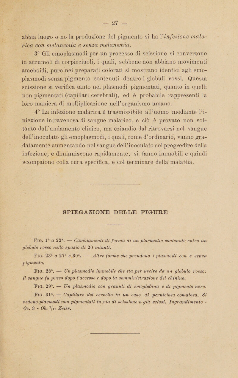 abbia luogo o no la produzione del pigmento si ha Vinfezione mala¬ rica con melanemia e senza melanemia. 3*^ Gli emoplasinodi per un processo di scissione si convertono in accumoli di corpicciuoli, i quali, sebbene non abbiano movimenti ameboidi, pure nei preparati colorati si mostrano identici agli emo- plasmodi senza pigmento contenuti dentro i globuli rossi. Questa scissione si verifica tanto nei plasmodi pigmentati, quanto in quelli non pigmentati (capillari cerebrali), ed è probabile rappresenti la loro maniera di moltiplicazione nell’organismo umano. 4° La infezione malarica è trasmissibile all’uomo mediante l’i¬ niezione intravenosa di sangue malarico, e ciò è provato non sol¬ tanto dall’andamento clinico, ma eziandio dal ritrovarsi nel sangue dell’inoculato gli emoplasmodi, i quali, come d’ordinario, vanno gra¬ datamente aumentando nel sangue dell’inoculato col progredire della infezione, e diminuiscono rapidamente, si fanno immobili e quindi scompaiono colla cura specifica, e col terminare della malattia. SPIEGAZIONE DELLE EIGUBE Fig. a 22^. — Cambiamenti di forma di un plasmodio contemcto entro un globulo rosso nello spazio di 20 minuti. Fig. 23*^ a 27'‘ e 30“. —• Altre forme che prendono i plasmodi con e senza pigmento. Fig. 28^. — Un plasmodio immobile che sta per uscire da un globulo rosso; il sangue fu preso dopo Vaccesso e dopo la somministrazione del chinino. Fig. 29^. — Un plasmodio con granuli di enioglobina e di pigmento nero. Fig. 31^. — Capillare del cervello in un caso di perniciosa comatosa. Si vedono plasmodi non pigmentati in via di scissione o già scissi. Ingrandimento - Oc. 3 - Ob. Vi2 Zeiss.