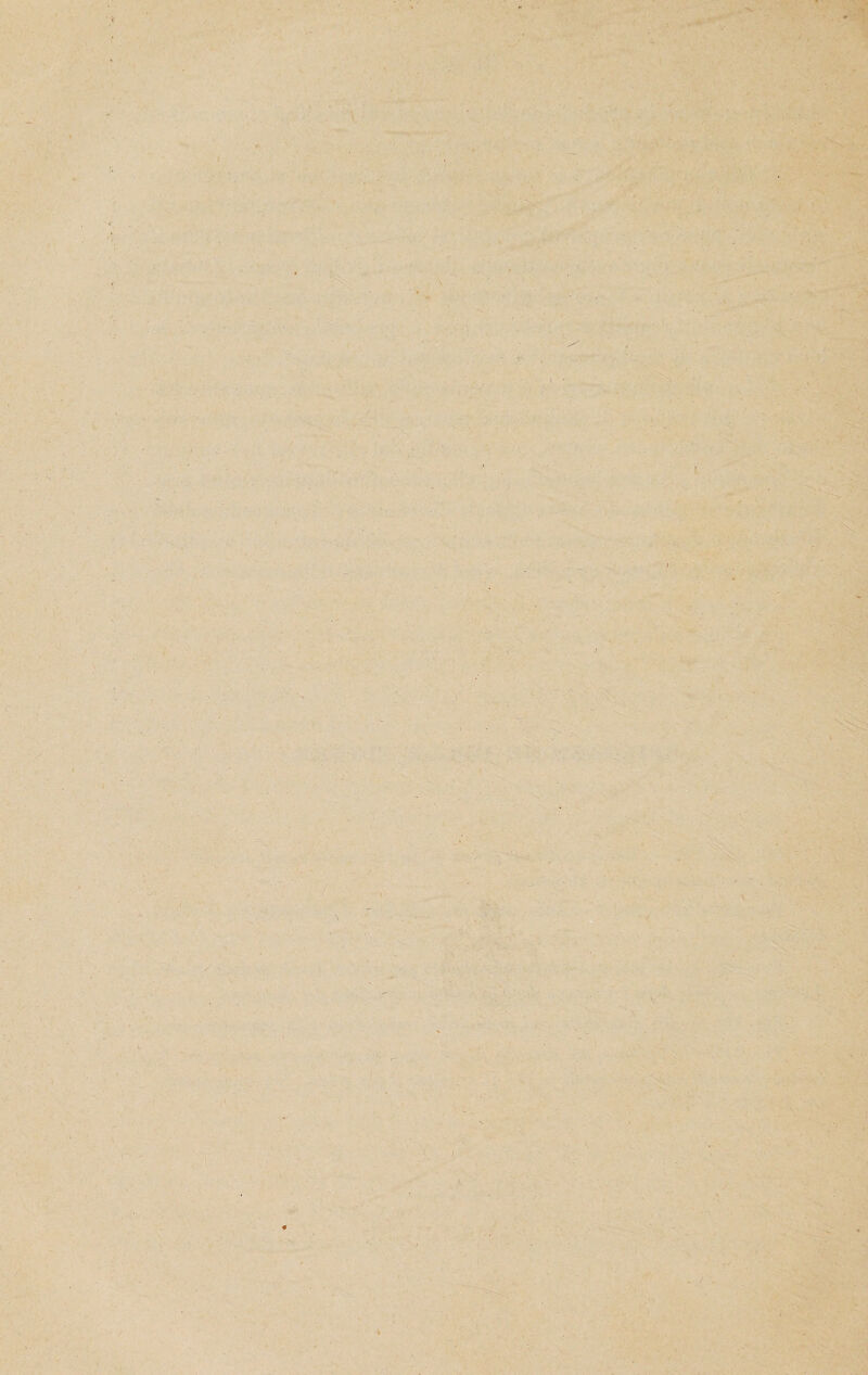 ì \ 1 ' V / K c 'i V \V ,-' H»g« '■’ V' 'U • -■• ^•' ' ' '-fi: - y '