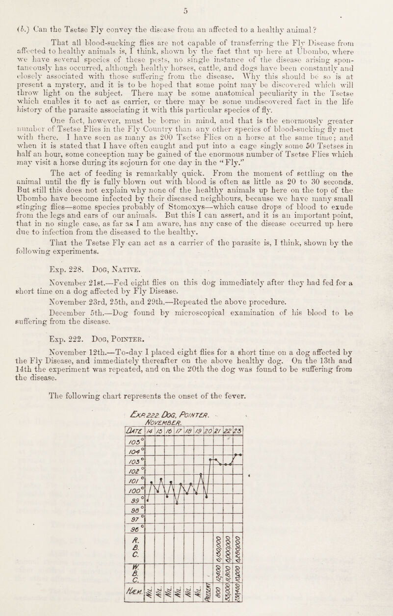 D (b.) Can the Tsetse Fly convey the disease from an affected to a healthy animal? That all blood-sucking flies are not capable of transferring the Fly Disease from affected to healthy animals is, I think, shown by the fact that up here at Ubombo, where we have several species of these pests, no single instance of the disease arising spon¬ taneously has occurred, although healthy horses, cattle, and dogs have been constantly and closely associated with those suffering* from the disease. Why this should be so is at present a mystery, and it is to be hoped that some point may be discovered which will throw light on the subject. There may be some anatomical peculiarity in the Tsetse which enables it to act as earner, or there may be some undiscovered fact in the life history of the parasite associating it with this particular species of fly. One fact, however, must be borne in mind, and that is the enormously greater number of Tsetse Flies in the Fly Country than any other species of blood-sucking flv met with there. 1 have seen as many as 200 Tsetse Flies on a horse at the same time: and when it is stated that I have often caught and put into a cage singly some 50 Tsetses in half an hour, some conception may be gained of the enormous number of Tsetse Flies which may visit a horse during its sojourn for one day in the “Fly.” The act of feeding is remarkably quick. From the moment of settling on the animal until the flv is fully blown out with blood is often as little as 20 to 30 seconds. But still this does not explain why none of the healthy animals up here on the top of the Ubombo have become infected by their diseased neighbours, because we have many small stinging flies—some species probably of Stomoxys—which cause drops of blood to exude from the legs and ears of our animals. But this I can assert, and it is an important point, that in no single case, as far as I am aware, has any case of the disease occurred up here due to infection from the diseased to the healthv. •r That the Tsetse Fly can act as a carrier of the parasite is, I think, shown by the following experiments. Exp. 228. Dog, Native. November 21st.—Fed eight flies on this dog immediately after they had fed for a short time on a dog affected by Fly Disease. November 23rd, 25th, and 29th.—Repeated the above procedure. December 5th.—Dog found by microscopical examination of his blood to be suffering from the disease. Exp. 222. Dog, Pointer. November 12th.—To-day 1 placed eight flies for a short time on a dog affected by the Fly Disease, and immediately thereafter on the above healthy dog. On the 13th and 14th the experiment was repeated, and on the 20th the dog was found to be suffering from the disease. The following chart represents the onset of the fever. /-xp.222. Dog, Po/ntep. November \12ate /4 /3 /6 /7 /e /9 20 2/ 22 25 /05° fO*° /05° r x e J / * /02° r~ A- i /O/ ° A f _ A i /00° f \A h i 99° T ¥ V r Co Qc o 97° 96 ° /?. 8. C. 8 'O 1 <0 <5* ' 8. c, 1 ss 1 s