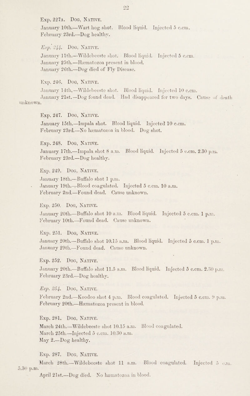 oo Exp. 227a. Dog, Native. January 10th.—Wart hog shot. Blood liquid. Injected 5 c-.cm. February 23rd.—Dog healthy. * Exp. ;?JJ. Dog, Native. January 11th.—Wildebeeste shot. Blood liquid. Injected 5 c.cm. January 25th.—Haematozoa present in blood. January 26th.—Dog died of Fly Disease. Fxp. 246. Dog, Native. January 14th,—Wildebeeste shot. Blood liquid. Injected 10 c.cm. January 21st.—Dog found dead. Had disappeared for two days. Cause of death unknown. Exp. 247. Dog, Native. January 15th.—Impala shot. Blood liquid. Injected 10 c.cm. February 23rd.—No haematozoa in blood. Dog shot. Exp. 248. Dog, Native. January 17th.—Impala shot 8 a.m. Blood liquid. Injected 5 c.cm. 2.30 p.m. February 23rd.—Dog healthy. Exp. 249. Dog, Native. January 18th.—Buffalo shot 1 p.m. January 19th.—Blood coagulated. Injected 5 c.cm. 10 a.m. February 2nd.—Found dead. Cause unknown. t/ Fxp. 250. Dog, Native. January 20th.—Buffalo shot 10 a.m. Blood liquid. Injected 5 c.cm. 1 p.m. February 10th.—Found dead. Cause unknown. \J Fxp. 251. Dog, Native. January 20th.-—Buffalo shot 10.15 a.m. Blood liquid. Injected 5 c.cm. 1 p.m, January 29th.—Found dead. Cause unknown. Fxp. 252. Dog, Native, January 20th.—Buffalo shot 11.5 a.m. Blood liquid. Injected 5 c.cm. 2.30 p.m. February 23rd.—Dog healthy. Exp. 254. Dog, Native. February 2nd.—Koodoo shot 4 p.m. Blood coagulated. Injected 5 c.cm. 9 p.m. February 20th.—Haematozoa present in blood. Exp. 281. Dog, Native. March 24th.—Wildebeeste shot 10.15 a.m. Blood coagulated. March 25th.-—Injected 5 c.cm. 10.30 a.m. May 2.—Dog healthy. Exp. 287. Dog, Native. March 28th.—WTildebeeste shot 11 a.m. Blood coagulated. Injected 5 c.m. 5.30 p.m. April 21st.—Dog died. No haematozoa in blood.