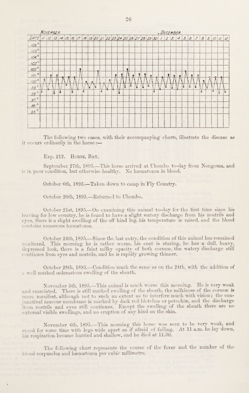 26 November. . December. The following two cases, with their accompanying charts, illustrate the disease as it occurs ordinarily in the horse :— Exp. 212. Horse, Bay. September 27th, 1895.—This horse arrived at Ubombo to-day from Nongoma, and is in poor condition, but otherwise healthy. No hsematozoa in blood. October 6th, 1895.—Taken down to camp in Fly Country. October 20th, 1895.—Returned to (Jbombo. October 21st, 1895.—On examining this animal to-day for the first time since his leaving for low country, he is found to have a slight watery discharge from his nostrils and eyes, there is a slight swelling of the off hind leg, his temperature is raised, and the blood contains numerous haunatozoa. October 24th, 1895.—Since the last entry, the condition of this animal has remained unaltered. This morning he is rather worse, his coat is staring, he has a dull, heavy, depressed look, there is a faint milky opacity of both corneas, the watery discharge still •continues from eyes and nostrils, and he is rapidly growing thinner. October 28th, 1895.—Condition much the same as on the 24th, with the addition of a well marked oedematous swelling of the sheath. November 5th, 1895.—This animal is much worse this morning. He is very weak and emaciated. There is still marked swelling of the sheath, the milkiness of the corneae is more manifest, although not to such an extent as to interfere much with vision; the con- imictival mucous membrane is marked by dark red blotches or petechim, and the discharge from nostrils and eyes still continues. Except the swelling of the sheath there are no external visible swellings, and no eruption of any kind on the skin. November 6th, 1895.—This morning this horse was seen to be very weak, and stood for some time with legs wide apart as if afraid ot falling. At 11 a.m. he lay down, his respiration became hurried and shallow, and he died at 11.30. The following chart represents the course of the fever and the number of the flood corpuscles and hannatozoa per cubic millimetre.