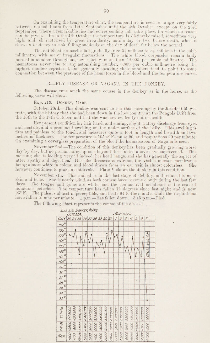80 On examining the temperature chart, the temperature is seen to range very fairly between normal limits from 19th September until the 4th October, except on The 23rd September, where a remarkable rise and corresponding fall take place, for which no reason can be given. From the 4th October the temperature is distinctly raised, sometimes very high, and characterised bv great irregularity, until a day or two before death, when it shows a tendency to sink, tailing suddenly on the day of death far below the normal. The red blood corpuscles fall gradually from 84 millions to 84 millions in the cubic millimetre, with many irregular fluctuations. The white blood corpuscles remain fairly normal in number throughout, never being more than 12,000 per cubic millimetre. The hasmatozoa never rise to any astonishing number, 0,800 per cubic millimetre being the highest number registered, and generally speaking their numbers tend to point to some connection between the presence of the hmmatozoa in the blood and the temperature curve. B.—FLY DISEASE OK X AG AN A IN THE DONKEY. The disease runs much the same course in the donkey as in the horse, as the following cases will show. Exp. 219. Donkey, Mare. October 23rd.— This donkey was sent to me this morning by the Resident Magis¬ trate, with the history that she had been down in the low country at the Pongola Drift from the 16th to the 19th October, and that she was now evidently out of health. Her present condition is: hair harsh and staring, slight watery discharge from eyes and nostrils, and a prominent swelling on the under surface of the belly. This swelling is firm and painless to the touch, and measures quite a foot in length and breadth and two inches in thickness. The temperature is J 05*4° F.. pulse 90, and respirations 20 per minute. On examining a coverglass preparation of the blood the heematozoon of Nagana is seen. November 2nd.—The condition of this donkey has been gradually growing worse day by day, but no prominent symptoms beyond those noted above have supervened. This morning she is looking very ill indeed, her head hangs, and she has generally the aspect of utter apathy and dejection. Her bloodlessness is extreme, the visible mucous membranes being almost white in colour, and blood drawn from an car vein is almost colourless. She however continues to graze at intervals. Plate Y shows the donkey in this condition. November 7th.—This animal is in the last stage of debility, and reduced to mere skin and bone. She is nearly blind, as both cornea? have become cloudy during the last few days. The tongue and gums are white, and the conjunctival membrane is the seat of numerous petechias. The temperature has fallen 12 degrees since last night and is now 93“ E. The pulse is almost imperceptible, and beats 64 to the minute, while the respirations Pave fallen to nine per minute. 1 p.m.—Has fallen down. 3.45 p.m.—Died. The following chart represents the course of the disease.