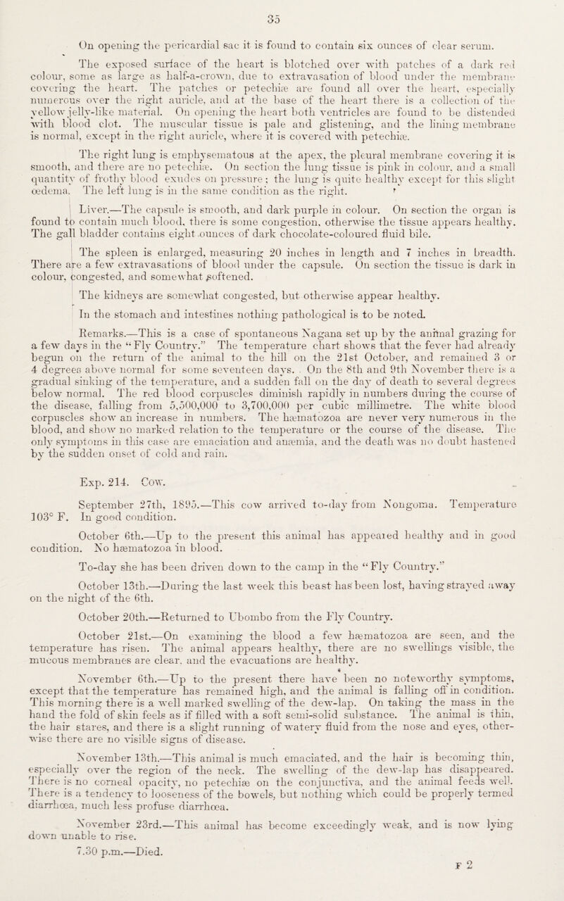 On opening the pericardial sac it is found to contain six ounces of clear serum. The exposed surface of the heart is blotched over with patches of a dark red colour, some as large as half-a-crown, due to extravasation of blood under the membrane covering the heart. The patches or petechias are found all over the heart, especially numerous over the right auricle, and at the base of the heart there is a collection of the yellow jelly-like material. On opening the heart both ventricles are found to be distended with blood clot. The muscular tissue is pale and glistening, and the lining membrane is normal, except in the right auricle, where it is covered with petechia:. The right lung is emphysematous at the apex, the pleural membrane covering it is smooth, and there are no petechia. On section the lung tissue is pink in colour, and a small quantity of frothy blood exudes on pressure; the lung is quite healthy except for this slight oedema. The left lung is in the same condition as the right. r Liver.—The capsule is smooth, and dark purple in colour. On section the organ is found to contain much blood, there is some congestion, otherwise the tissue appears healthy. The gall bladder contains eight .ounces of dark chocolate-coloured fluid bile. The spleen is enlarged, measuring 20 inches in length and 7 inches in breadth. There are a few extravasations of blood under the capsule. On section the tissue is dark in colour, congested, and somewhat softened. The kidneys are somewhat congested, but otherwise appear healthy. In the stomach and intestines nothing pathological is to be noted. Remarks.—This is a case of spontaneous Nagana set up by the animal grazing for a few davs in the “Fly Countrv.” The temperature chart shows that the fever had alreadv begun on the return of the animal to the hill on the 21st October, and remained 3 or 4 degrees above normal for some seventeen days. . On the 8th and 9th November there is a gradual sinking of the temperature, and a sudden fall on the day of death to several degrees below normal. The red blood corpuscles diminish rapidly in numbers during the course of the disease, falling from 5,500,000 to 3,700,000 per cubic millimetre. The white blood corpuscles show an increase in numbers. The hsematozoa are never very numerous in the blood, and show no marked relation to the temperature or the course of the disease. The only symptoms in this case are emaciation and anaemia, and the death was no doubt hastened by the sudden onset of cold and rain. Exp. 214. Cow. September 27th, 1895.—This cow arrived to-day from Nongoma. Temperature 103° F. In good condition. October 6th.— Up to the present this animal has appealed healthy and in good condition. No haematozoa in blood. To-day she has been driven down to the camp in the “Fly Country.’ October 13th.—During the last week this beast has been lost, having strayed away on the night of the 6th. October 20th.—Returned to Ubombo from the Flv Country. October 21st.—On examining the blood a few hmmatozoa are seen, and the temperature has risen. The animal appears healthy, there are no swellings visible, the mucous membranes are clear, and the evacuations are healthy. %/ « November 6th.—Up to the present there have been no noteworthy symptoms, except that the temperature has remained high, and the animal is falling off in condition. This morning there is a well marked swelling of the dew-lap. On taking the mass in the hand the fold of skin feels as if filled with a soft semi-solid substance. The animal is thin, the hair stares, and there is a slight running of watery fluid from the nose and eyes, other¬ wise there are no visible signs of disease. November 13th.—This animal is much emaciated, and the hair is becoming thin, especially over the region of the neck. The swelling of the dew-lap has disappeared. 1 here is no corneal opacity, no petechim on the conjunctiva, and the animal feeds well. 1 here is a tendency to looseness of the bowels, but nothing which could be properly termed diarrhoea, much less profuse diarrhoea. November 23rd.— This animal has become exceedingly weak, and is now lying down unable to rise. 7.30 p.m.—Died. ¥ 2