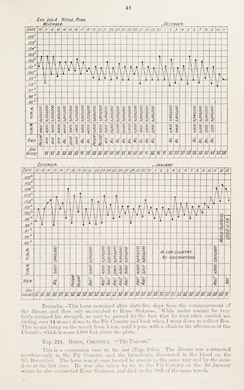 48 \ Exp. 205 A. Horse, Roan. November. . December. December-. . January. Remarks.—This horse remained alive sixty-five days from the commencement of the disease, and then only succumbed to Horse Sickness.- While under arsenic he very fairly retained his strength, as maybe proved by the fact that he very often carried me (riding over 14 stone) down to the Fly Country and back when I went down to collect dies. This means being on the march from 5 a.m. until 5 p.m., with a climb in the afternoon of the Ebombo, which is some 2.000 feet above the plain. Exp. 224. Horse, Chestnut. “ The Unicom.' This is a companion case to the last (Exp. 205a). 1 he disease was contracted spontaneously in the Fly Country, and the hsematozoa discovered in the blood on the Oth December. The horse was at once treated bv arsenic in the same wav and by the same dose as the last case. He was also taken by me to the 4 Iv Country on the 1st January where he also contracted Horse Sickness, and died on the 10th of the same month-