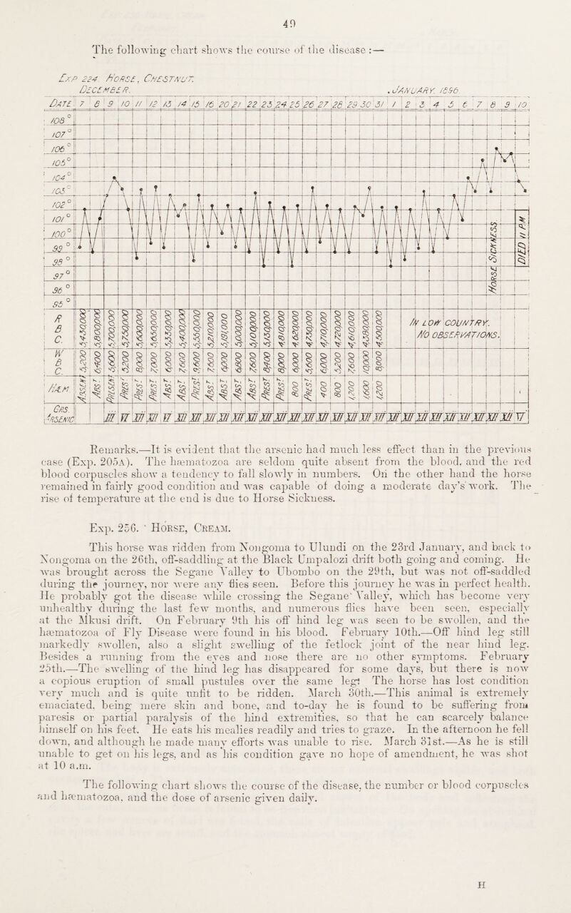 40 The following chart shows the course of the disease :— £xP 224 h'ORSt, C/it ST A'2'7. Dscsmesr. .January. /es6. Remarks.—It is evident that the arsenic had much less effect than in the previous case (Exp. 205a). The haematozoa are seldom quite absent from the blood, and the red blood corpuscles show a tendency to fall slowly in numbers. Oii the other hand the horse remained in fairly good condition and was capable of doing a moderate day’s work. The rise of temperature at the end is due to Horse Sickness. Exp. 25G. ‘ Horse, Cream. This horse was ridden from Nongoma to Ulundi on the 23rd January, and back to Xongoma on the 26th, off-saddling at the Black Empalozi drift both going and coming. He was brought across the Segane Valley to Ubombo on the 29th, but was not off-saddled during the journey, nor were any hies seen. Before this journey he was in perfect health. He probably got the disease while crossing the Segane' Valley, which has become very unhealthy during the last few months, and numerous flies have been seen, especially at the Mkusi drift. On February 9th his off hind leg was seen to be swollen, and the heematozoa of Fly Disease were found in his blood. February 10th.—Off hind leg still markedly swollen, also a slight swelling of the fetlock joint of the near hind leg. Besides a running from the eves and nose there are no other symptoms. February 25th.—The swelling of the hind leg has disappeared for some days, but there is now a copious eruption of small pustules over the same leg! The horse has lost condition very much and is quite unfit to be ridden. March 30th.—This animal is extremely emaciated, being mere skin and bone, and to-day he is found to be suffering from paresis or partial paralysis of the hind extremities, so that he can scarcely balance himself on his feet. He eats his mealies readily and tries to graze. In the afternoon he fell down, and although he made many efforts was unable to rise. March 31st.—As he is still unable to get on his legs, and as his condition gave no hope of amendment, he was shot at 10 a.m. The following chart shows the course of the disease, the number or blood corpuscles and hcernatozoa. and the dose of arsenic given dailv. C t. H