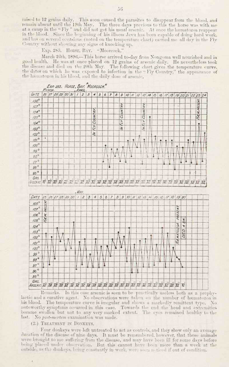 Jlj raided to 12 grains daily. This soon caused the parasites to disappear from the blood, and remain absent until the 19th May. The three days previous to this the horse was with me at a camp in the Fly ” and did not get his usual arsenic. At once the luematozoa reappear in the blood. Since the beginning of his illness Jevu has been capable of doing hard work, and has on several occasions (noted on the temperature chart) carried me all day in the Flv Country without showing any signs ot knocking up. Exp. 263. Horse. Bay. ’‘Moorcock.’’ March 26th. 1896.—This horse arrived to -day from Nongoma well nourished and in good health. He was at once placed on 12 grains of arsenic daily. He nevertheless took the di sease and died on the 20th May, The following chart gives the temperature curve, the dates on which he was exposed to infection in the “ Fly Country,” the appearance of the hrematozoa in his blood, and the dailv dose of arsenic. Kemarks. In this case arsenic is seen to be practically useless both as a prophy¬ lactic and a curative agent. No observations were taken on the number of hacmatozoa in his blood. The temperature curve is irregular and shows a markedly remittent type. No noteworthy symptoms occurred in this case. Towards the end the head and extremities became swollen but not to any very marked extent. The eves remained healthv to the last. No post-mortem examination was made. (2.) Treatment in Donkeys. Four donkeys were left untreated to act as controls, and they show only an average duration ot the disease of nine days. It must be remembered, however, that these animals were brought to me suffering from the disease, and may have been ill for some days before being placed under observation. But this cannot have been more than a week at the outside, as the donkeys, being constantly in work, were soon in ticed if out of condition.