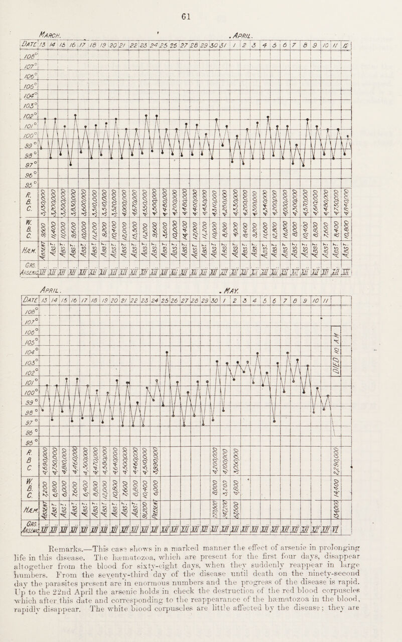 61 March. ' , April. April. .MAY. life in this disease. The haematozoa, which are present for the first four days, disappear altogether from the blood for sixty-eight days, when they suddenly reappear in large Lumbers. From the seventy-third‘day of the disease until death on the ninety-second day the parasites present are in enormous numbers and the progress of the disease is rapia. Up to the 22nd April the arsenic holds in check the destruction of the red blood corpuscles which after this date and corresponding to the reappearance of the hsematozoa in the blood, rapidly disappear. The white biood corpuscles are little affected by the disease; they are