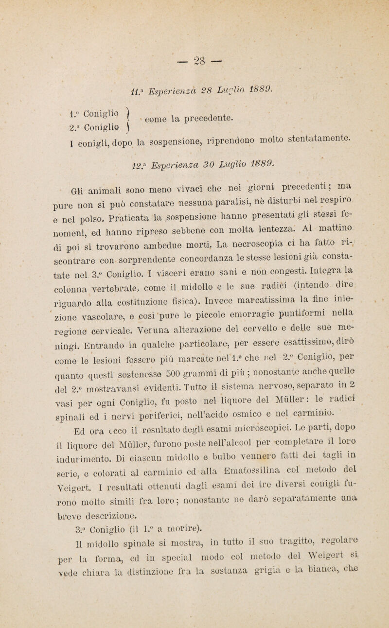 112 Esperienza 28 Luglio 1889. L° ConÌgU° ì come la procedente. 22 Coniglio \ I conigli, dopo la sospensione, riprendono molto stentatamente. 122 Esperienza 30 Luglio 1889. Gli animali sono meno vivaci che nei giorni precedenti ; ma pure non si può constatare nessuna paralisi, nè disturbi nel respiro e nel polso. Praticata la sospensione hanno presentati gli stessi fe¬ nomeni, ed hanno ripreso sebbene con molta lentezza. Al mattino di poi si trovarono ambedue morti.. La necroscopia ci ha fatto ri¬ scontrare con sorprendente concordanza le stesse lesioni già consta¬ tate nel 3.° Coniglio. I visceri erano sani e non congesti. Integra la colonna vertebrale, come il midollo e le sue radici (intendo dire riguardo alla costituzione fisica). Invece marcatissima la fine inie¬ zione vascolare, e così pure le piccole emorragie puntiformi nella regione cervicale. Veruna alterazione del cervello e delle sue me¬ ningi. Entrando in qualche particolare, per essere esattissimo, dirò come le lesioni fossero più marcate nel 1.® che nel 2.° Coniglio, per quanto questi sostenesse 500 grammi di più ; nonostante anche quelle del 2.° mostravansi evidenti. Tutto il sistema nervoso, separato in 2 vasi per ogni Coniglio, fu posto nel liquore del Mùller : le radici spinali ed i nervi periferici, nelTacido osmico e nel carminio. Ed ora ecco il resultato degli esami microscopici. Le parti, dopo il liquore del Mùller, furono poste nell’alcool per completare il loro indurimento. Di ciascun midollo e bulbo vennero latti dei tagli in serie, e colorati al carminio ed alla Ematossilina col metodo del Yeigert. I resultati ottenuti dagli esami dei tre diversi conigli fu¬ rono molto simili fra loro 5 nonostante ne darò sepaiatamcnte una breve descrizione. 3.° Coniglio (il l.° a morire). Il midollo spinale si mostra, in tutto il suo tragitto, regolale per la forma, ed in special modo col metodo dèi Weigert si vede chiara la distinzione fra la sostanza grigia e La bianca, che