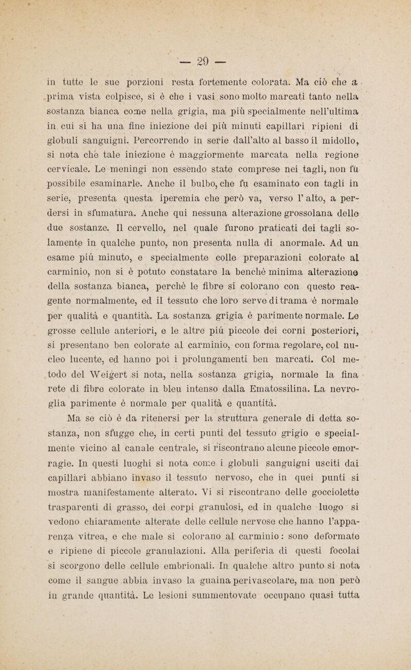 in tutte le sue porzioni resta fortemente colorata. Ma ciò che a prima vista colpisce, si è che i vasi sono molto marcati tanto nella sostanza bianca come nella grigia, ma più specialmente nell’ultima in cui si ha una fine iniezione dei più minuti capillari ripieni di • t globuli sanguigni. Percorrendo in serie dall’alto al basso il midollo, si nota che tale iniezione è maggiormente marcata nella regione cervicale. Le meningi non essendo state comprese nei tagli, non fu possibile esaminarle. Anche il bulbo, che fu esaminato con tagli in serie, presenta questa iperemia che però va, verso 1’ alto, a per¬ dersi in sfumatura. Anche qui nessuna alterazione grossolana delle due sostanze. Il cervello, nel quale furono praticati dei tagli so¬ lamente in qualche punto, non presenta nulla di anormale. Ad un. esame più minuto, e specialmente colle preparazioni colorate al carminio, non si è potuto constatare la benché minima alterazione della sostanza bianca, perchè le fibre si colorano con questo rea¬ gente normalmente, ed il tessuto che loro serve di trama è normale per qualità e quantità. La sostanza grigia è parimente normale. Le grosse cellule anteriori, e le altre più piccole dei corni posteriori, si presentano ben colorate al carminio, con forma regolare, col nu¬ cleo lucente, ed hanno poi i prolungamenti ben marcati. Col me¬ todo del Weigert si nota, nella sostanza grigia, normale la fina rete di fibre colorate in bleu intenso dalla Ematossilina. La nevro- glia parimente è normale per qualità e quantità. Ma se ciò è da ritenersi per la struttura generale di detta so¬ stanza, non sfugge che, in certi punti del tessuto grigio e special- mente vicino al canale centrale, si riscontrano alcune piccole emor¬ ragie. In questi luoghi si nota come i globuli sanguigni usciti dai capillari abbiano invaso il tessuto nervoso, che in quei punti si mostra manifestamente alterato. Vi si riscontrano delle gocciolette trasparenti di grasso, dei corpi granulosi, ed in qualche luogo si vedono chiaramente alterate delle cellule nervose che hanno l’appa¬ renza vitrea, e che male si colorano al carminio : sono deformate e ripiene di piccole granulazioni. Alla periferia di questi focolai si scorgono delle cellule embrionali. In qualche altro punto si nota come il sangue abbia invaso la guaina perivascolare, ma non però in grande quantità. Le lesioni summentovate occupano quasi tutta