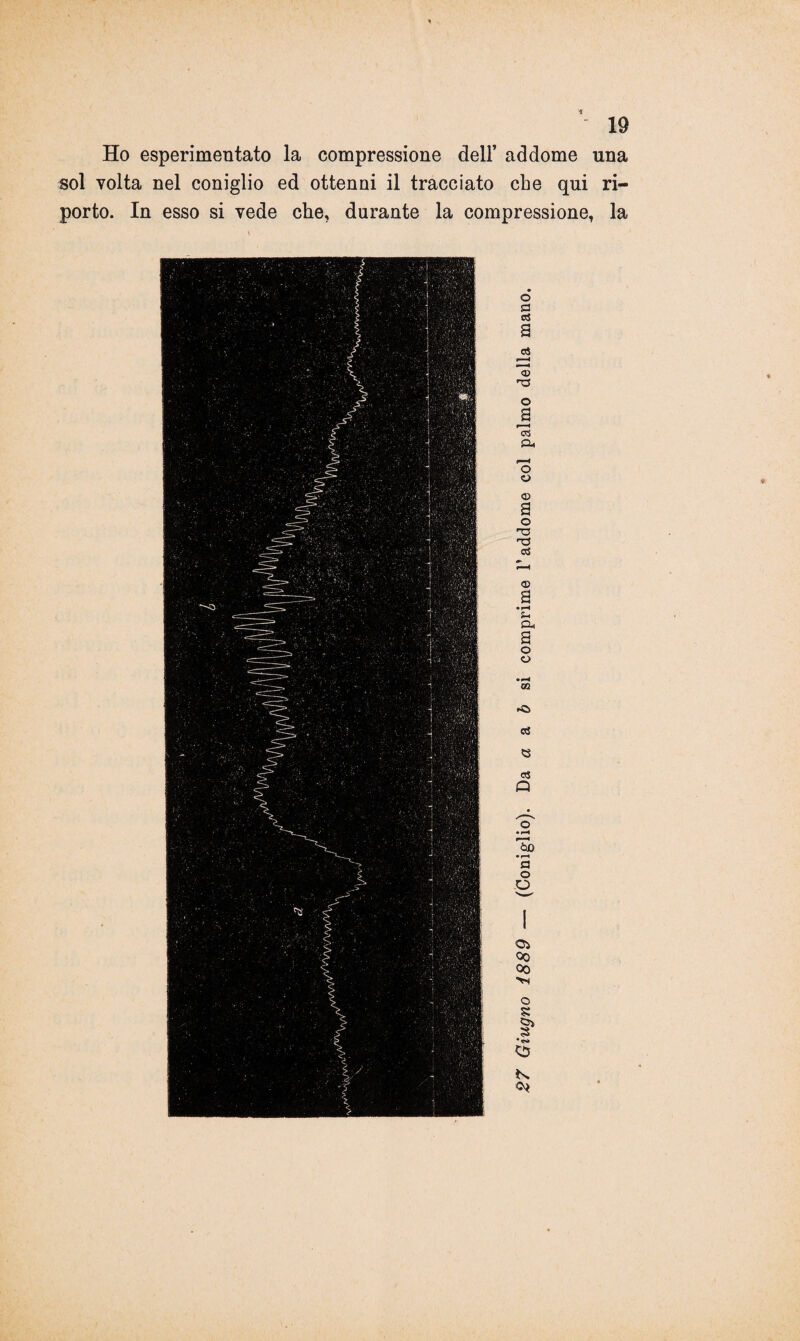 Ho esperimeutato la compressione dell’ addome una sol volta nel coniglio ed ottenni il tracciato che qui ri¬ porto. In esso si vede che, durante la compressione, la
