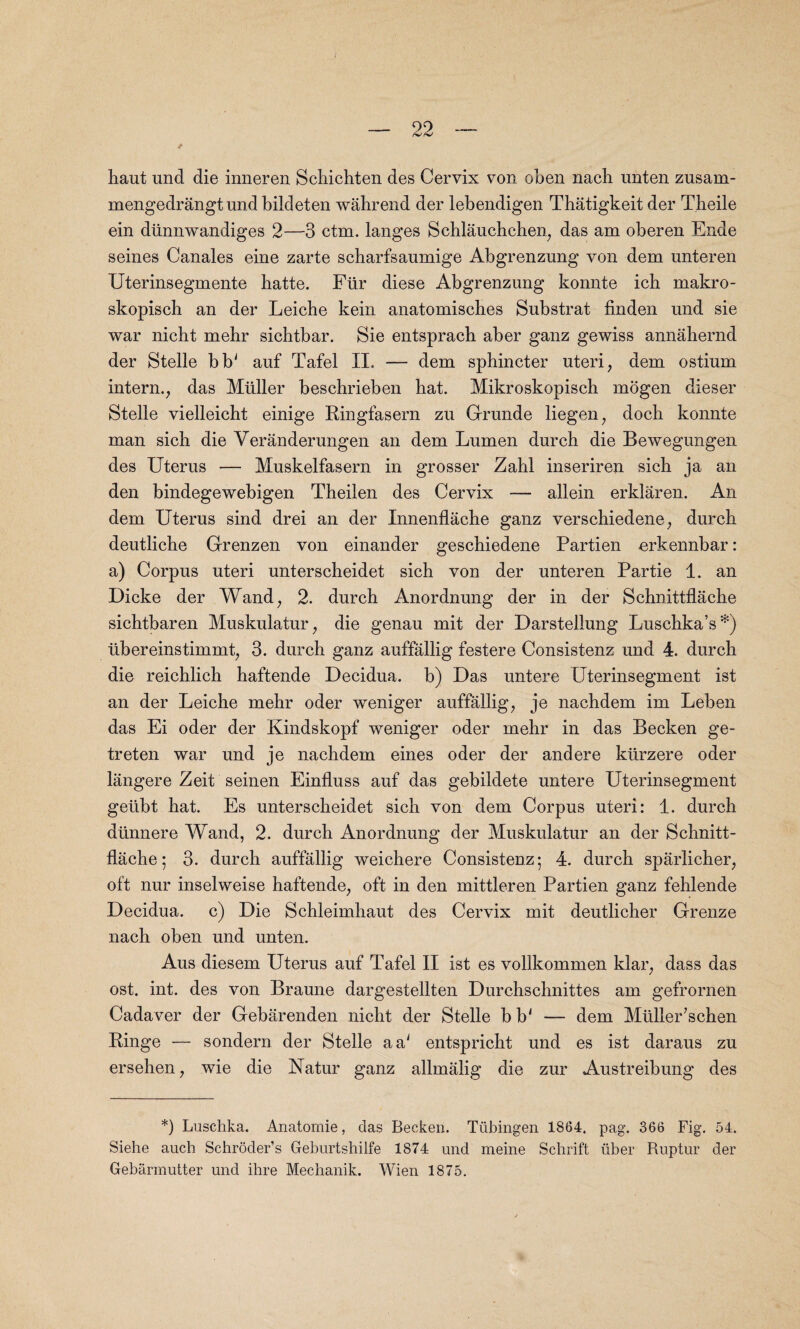 / haut und die inneren Schichten des Cervix von oben nach unten zusam- mengedrangt und bildeten wahrend der lebendigen Thatigkeit der Tbeile ein dlinnwandiges 2—3 ctm. langes Schlauchchen, das am oberen Ende seines Canales eine zarte scharfsaumige Abgrenzung von dem unteren Uterinsegmente hatte. Fur diese Abgrenzung konnte icli makro- skopisch an der Leiche kein anatomisches Substrat linden und sie war nicbt mehr sichtbar. Sie entsprach aber ganz gewiss annahernd der Stelle b b' auf Tafel II. — dem sphincter uteri; dem ostium intern., das Muller beschrieben hat. Mikroskopisch rnogen dieser Stelle vielleicht einige Ringfasern zu Grunde liegen, doch konnte man sich die Yeranderungen an dem Lumen durch die Bewegungen des Uterus — Muskelfasern in grosser Zahl inseriren sich ja an den bindegewebigen Theilen des Cervix — allein erklaren. An dem Uterus sind drei an der Innenflache ganz verschiedene, durch deutliche Grenzen von einander geschiedene Partien erkennbar: a) Corpus uteri unterscheidet sich von der unteren Partie 1. an Dicke der Wand, 2. durch Anordnung der in der Schnittflache sichtbaren Muskulatur, die genau mit der Darstellung Lusehka’s *) ubereinstimmt, 3. durch ganz auffallig festere Consistenz und 4. durch die reichlich haftende Decidua, b) Das untere Uterinsegment ist an der Leiche mehr oder weniger auffallig, je nachdem im Leben das Ei oder der Kindskopf weniger oder mehr in das Becken ge- treten war und je nachdem eines oder der andere kiirzere oder langere Zeit seinen Einfluss auf das gebildete untere Uterinsegment geiibt hat. Es unterscheidet sich von dem Corpus uteri: 1. durch diinnere Wand, 2. durch Anordnung der Muskulatur an der Schnitt¬ flache; 3. durch auffallig weichere Consistenz 5 4. durch sparlicher, oft nur inselweise haftende, oft in den mittleren Partien ganz fehlende Decidua, c) Die Schleimhaut des Cervix mit deutlicher Greuze nach oben und unten. Aus diesem Uterus auf Tafel II ist es vollkommen klar, dass das ost. int. des von Braune dargestellten Durchschnittes am gefrornen Cadaver der Gebarenden nicht der Stelle b b' — dem Muller'schen Ringe — sondern der Stelle a a' entspricht und es ist daraus zu ersehen, wie die Natur ganz allmalig die zur Austreibung des *) Lusclika. Anatomie, das Becken. Tubingen 1864, pag. 366 Fig. 54. Siehe auch Schroder’s Geburtshilfe 1874 und meine Schrift fiber Ruptur der Gebarmutter und ihre Mechanik. Wien 1875.