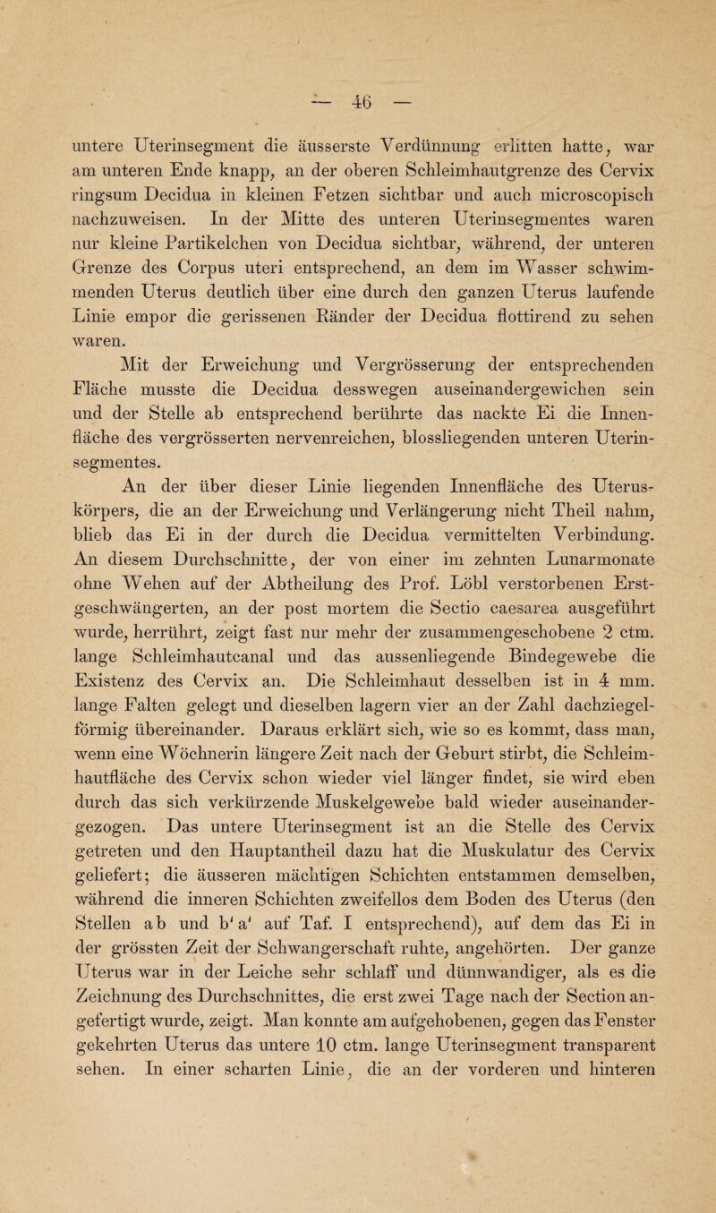 imtere Uterinsegment die ausserste Verdiinnung erlitten hatte, war am unteren Ende knapp; an der oberen Scbleimhautgrenze des Cervix ringsum Decidua in kleinen Fetzen sichtbar und aucb microscopisch nachzuweisen. In der Mitte des unteren Uterinsegmentes waren nur kleine Partikelchen von Decidua sichtbar, wahrend, der unteren Grenze des Corpus uteri entsprechend, an dem im Wasser schwim- menden Uterus deutlich liber eine durch den ganzen Uterus laufende Linie empor die gerissenen Rander der Decidua flottirend zu sehen waren. Mit der Erweichung und Yergrosserung der entsprechenden Flache musste die Decidua desswegen auseinandergewichen sein und der Stelle ab entsprechend beriihrte das nackte Ei die Innen- flacbe des vergrosserten nervenreichen, blossliegenden unteren Uterin¬ segmentes. An der liber dieser Linie liegenden Innenflache des Uterus- korpers, die an der Erweichung und Verlangerung nicbt Tbeii nahm, blieb das Ei in der durch die Decidua vermittelten Verbindung. An diesem Durchschnitte, der von einer im zehnten Lunarmonate ohne Wehen auf der Abtheilung des Prof. Lobl verstorbenen Erst- geschwangerten, an der post mortem die Sectio caesarea ausgefiihrt wurde, herriihrt, zeigt fast nur mehr der zusammengeschobene 2 ctm. lange Schleimhautcanal und das aussenliegende Bindegewebe die Existenz des Cervix an. Die Schleimhaut desseiben ist in 4 mm. lange Falten gelegt und dieselben lagern vier an der Zahl dachziegel- formig libereinander. Daraus erklart sicli, wie so es komnit, dass man, wenn eine Wochnerin langere Zeit nach der Geburt stirbt, die Schleim- hautflache des Cervix schon wieder viel langer findet^ sie wird eben durch das sich verkiirzende Muskelgewebe bald wieder auseinander- gezogen. Das untere Uterinsegment ist an die Stelle des Cervix getreten und den Hauptantheil dazu hat die Muskulatur des Cervix geliefert; die ausseren machtigen Schichten entstammen demselben; wahrend die inneren Schichten zweifellos dem Boden des Uterus (den Stellen ab und b' a^ auf Taf. I entsprechend), auf dem das Ei in der grossten Zeit der Schwangerschaft ruhte, angehorten. Der ganze Uterus war in der Leiche sehr schlaff und diinnwandiger, als es die Zeichnung des Durchschnittes, die erst zwei Tage nach der Section an- gefertigt wurde, zeigt. Man konnte am aufgehobenen, gegen das Fenster gekehrten Uterus das untere 10 ctm. lange Uterinsegment transparent sehen. In einer scharfen Linie, die an der vorderen und hinteren