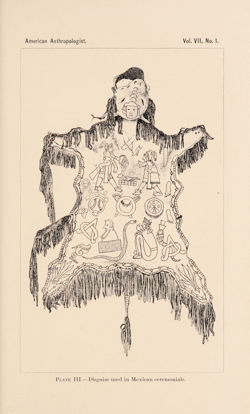 Plate III.—Disguise used in Mexican ceremonials.