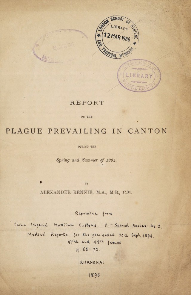 digitised image 3