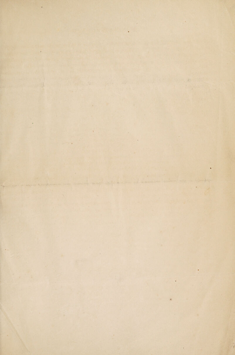 . * ■-■■■■ ... * ' ■ . . ,• • -?/ '■ . j. k r. V - , ' •• - • - *■ •• f. < ■ * « . ’ '