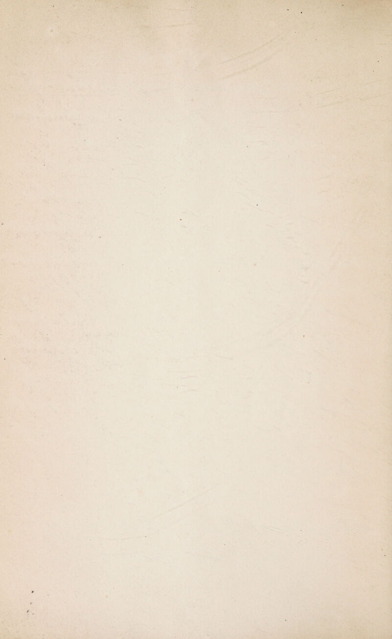 - '■ . ■ . ■ : > ' * * • ■ • . - . ' ■'