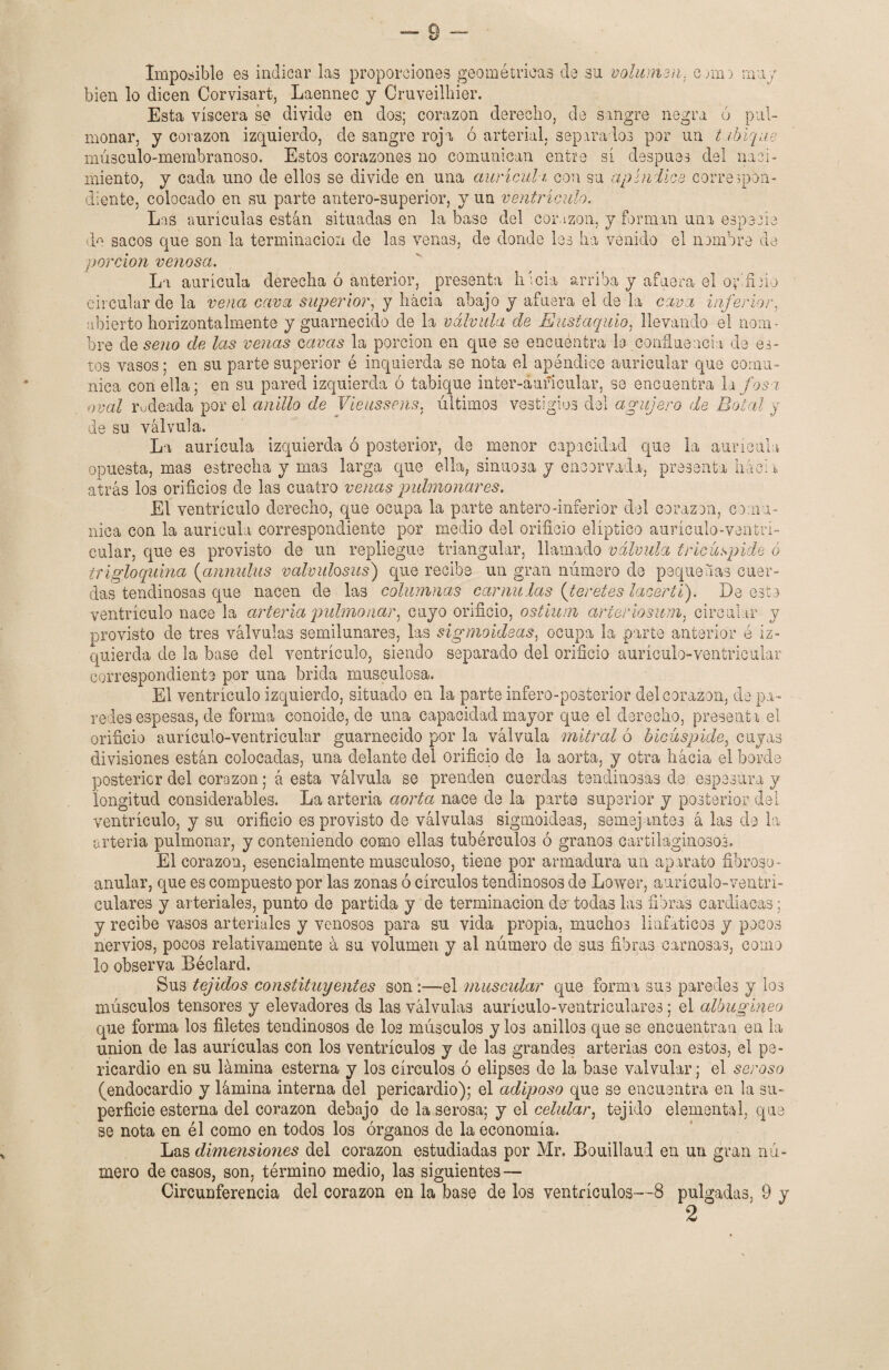 Imposible es indicar las proporciones geométricas de su volumen, cerne muy bien lo dicen Corvisart-, Laennec y Cruveilhier. Esta viscera se divide en dos; corazón derecho, de sangre negra ó pul¬ monar, y corazón izquierdo, de sangre roja ó arterial, separados por un tabique músculo-membranoso. Estos corazones no comunican entre sí después del naci¬ miento, y cada uno de ellos se divide en una aurícuh. con su ap índice correspon¬ diente, colocado en su parte antero-superior, y un ventrículo. Las aurículas están situadas en la base del corazón, y forman una especie do sacos que son la terminación de las venas, de donde les ha venido el nombre de porción venosa. La aurícula derecha ó anterior, presenta liíeia arriba y afuera el oy'.fbio circular de la vena cava superior, y hacia abajo y afuera el de la cava inferior, abierto horizontalmente y guarnecido de la válvula de Eustaquio, llevando el nom¬ bre de seno de las venas cavas la porción en que se encuentra la confluencia de es¬ tos vasos; en su parte superior é inquiérela se nota el apéndice auricular que comu¬ nica con ella; en su pared izquierda ó tabique inter-áufícular, se encuentra la fosa oval rodeada por el anillo de Vieussens, últimos vestigios del agujero de Botad y de su válvula. La aurícula izquierda ó posterior, de menor capacidad que la aurícula opuesta, mas estrecha y mas larga que ella, sinuosa y encorvada, presenta hacia atrás los orificios de las cuatro venas pulmonares. El ventrículo derecho, que ocupa la parte antero-iníerior del corazón, comu¬ nica con la aurícula correspondiente por medio del orificio elíptico aurículo-ventri- cular, que es provisto de un repliegue triangular, llamado válvula tricúspide ó trigloquina (amalas valvulosus) que recibe un gran número de pequeñas cuer¬ das tendinosas que nacen de las columnas camillas (teretes lacerti). De esto ventrículo nace la arteria pulmonar, cuyo orificio, ostiuni arteriosum, circular y provisto de tres válvulas semilunares, las sigmoideas, ocupa la parte anterior é iz¬ quierda de la base del ventrículo, siendo separado del orificio aurículo-ventricular correspondiente por una brida musculosa. El ventrículo izquierdo, situado en la parte infero-posterior del corazón, de pa¬ redes espesas, de forma conoide, de una capacidad mayor que el derecho, presenta el orificio aurículo-ventricular guarnecido por la válvula mitral ó bicüspide, cuyas divisiones están colocadas, una delante del orificio de la aorta, y otra hácia el borde posterior del corazón; á esta válvula se prenden cuerdas tendinosas de esposara y longitud considerables. La arteria aorta nace de la parte superior y posterior del ventrículo, y su orificio es provisto de válvulas sigmoideas, semejantes á las de la- arteria pulmonar, y conteniendo como ellas tubérculos ó granos cartilaginosos. El corazón, esencialmente musculoso, tiene por armadura un aparato fibroso- anular, que es compuesto por las zonas ó círculos tendinosos de Lower, aurículo-ventri- culares y arteriales, punto de partida y de terminación de' todas las fibras cardiacas; y recibe vasos arteriales y venosos para su vida propia, muchos linfáticos y pocos nervios, pocos relativamente á su volumen y al número de sus fibras carnosas, como lo observa Béclard. Sus tejidos constituyentes son:—el muscular que forma sus paredes y los músculos tensores y elevadores ds las válvulas auríoulo-ventriculares; el albugíneo que forma los filetes tendinosos de los músculos y los anillos que se encuentran en la unión de las aurículas con los ventrículos y de las grandes arterias con est03, el pe¬ ricardio en su lámina esterna y los círculos ó elipses de la base valvular; el seroso (endocardio y lámina interna del pericardio); el adiposo que se encuentra en la su¬ perficie esterna del corazón debajo de la serosa; y el celular, tejido elemental, que se nota en él como en todos los órganos de la economía. Las dimensiones del corazón estudiadas por Mr. Bouillaud en un gran nú¬ mero de casos, son, término medio, las siguientes —