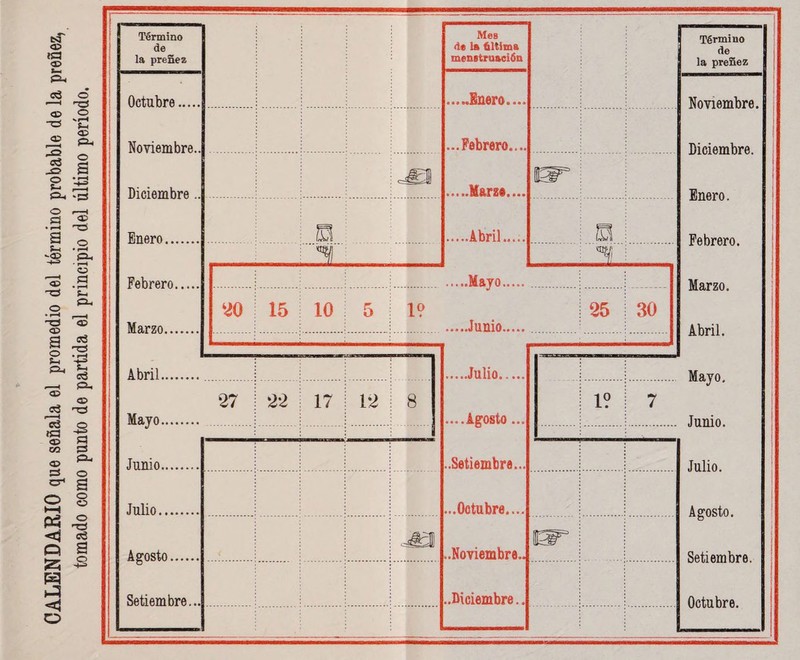 CALENDARIO que señala el promedio del término probable de la preñez, tomado como punto de partida el principio del último período. Término Mes de •le is última í An la preñez menstruación la preñez .....Enero.... “Nfnvi ¿vmhrfl Noviembre.. ...Febrero.... Diciembre. : : Diciem hre Enero. ¡a : .Abril. e¡ Febrero. J Ffthrftrn Marzo. 20 15 10 5 1? 25 30 Marzo. .Junio. Abril. Abril. .Julio. Mayo. 27 \ 22 17 i 12 8 ! i? 7 Mayo. ....Agosto... Junio. ..Setiembre... Julio. Julio. ¡ ! .~m isr i Agosto. ..Noviembre.. Setiembre... ..Diciembre.. Octubre. —