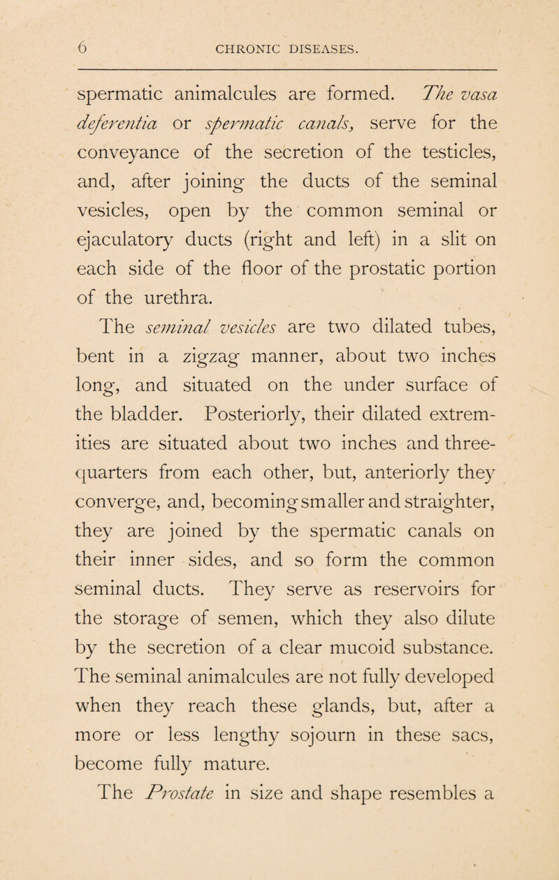 spermatic animalcules are formed. The vasa deferentia or spermatic canals, serve for the conveyance of the secretion of the testicles, and, after joining the ducts of the seminal vesicles, open by the common seminal or ejaculatory ducts (right and left) in a slit on each side of the floor of the prostatic portion of the urethra. The seminal vesicles are two dilated tubes, bent in a zigzag manner, about two inches long, and situated on the under surface of the bladder. Posteriorly, their dilated extrem¬ ities are situated about two inches and three- quarters from each other, but, anteriorly they converge, and, becoming smaller and straighter, they are joined by the spermatic canals on their inner sides, and so form the common seminal ducts. They serve as reservoirs for the storage of semen, which they also dilute by the secretion of a clear mucoid substance. The seminal animalcules are not fully developed when they reach these glands, but, after a more or less lengthy sojourn in these sacs, become fully mature. The Prostate in size and shape resembles a