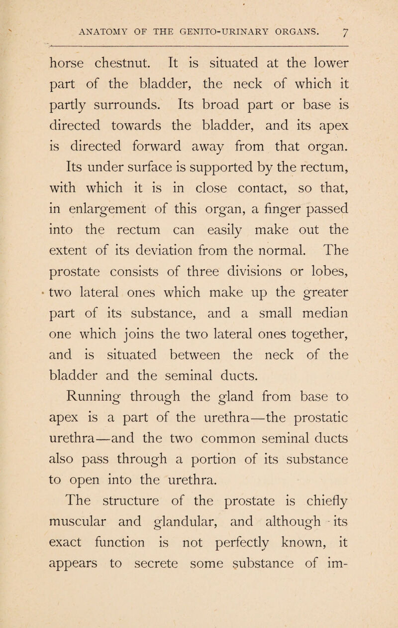 horse chestnut. It is situated at the lower part of the bladder, the neck of which it partly surrounds. Its broad part or base is directed towards the bladder, and its apex is directed forward away from that organ. Its under surface is supported by the rectum, with which it is in close contact, so that, in enlargement of this organ, a finger passed into the rectum can easily make out the extent of its deviation from the normal. The prostate consists of three divisions or lobes, two lateral ones which make up the greater part of its substance, and a small median one which joins the two lateral ones together, and is situated between the neck of the bladder and the seminal ducts. Running through the gland from base to apex is a part of the urethra—the prostatic urethra—and the two common seminal ducts also pass through a portion of its substance to open into the urethra. The structure of the prostate is chiefly muscular and glandular, and although - its exact function is not perfectly known, it appears to secrete some substance of im-