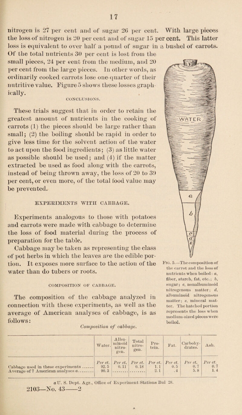 nitrogen is 27 per cent and of sugar 26 per cent. With large pieces the loss of nitrogen is 20 per cent and of sugar 15 per cent. This latter loss is equivalent to over half a pound of sugar in a bushel of carrots. Of the total nutrients 30 per cent is lost from the small pieces, 24 per cent from the medium, and 20 per cent from the large pieces. In other words, as ordinarily cooked carrots lose one-quarter of their nutritive value. Figure 5 sliows these losses graph¬ ically. CONCLUSIONS. These trials suggest that in order to retain the greatest amount of nutrients in the cooking of carrots (1) the pieces should be large rather than small; (2) the boiling should be rapid in order to give less time for the solvent action of the water to act upon the food ingredients; (3) as little water as possible should be used; and (4) if the matter extracted be used as food along with the carrots, instead of being thrown away, the loss of 20 to 30 per cent, or even more, of the total food value may be prevented. EXPERIMENTS WITH CABBAGE. Experiments analogous to those with potatoes and carrots were made with cabbage to determine the loss of food material during the process of preparation for the table. Cabbage may be taken as representing the class of pot herbs in which the leaves ace the edible por¬ tion. It exposes more surface to the action of the FlG- 5—The composition of . , , the carrot and the loss of water tliau do tubers or roots. nutrient* who,, boiled, a, COMPOSITION OF CABBAGE. The composition of the cabbage analyzed in connection with these experiments, as well as the average of American analyses of cabbage, is as follows: Composition of cabbage. fiber, starch, fat, etc.; b, sugar; c, nonalbuminoid nitrogenous matter; d, albuminoid nitrogenous matter; <?, mineral mat¬ ter. The hatebed portion represents the loss when medium-sized pieces were boiled. Water. Albu¬ minoid nitro¬ gen. Total nitro¬ gen. Pro¬ tein. Eat. Carbohy¬ drates. Ash. Cabbage used in these experiments. Average of 7 American analyses a. Per ct. 92.5 90.3 Per ct. 0.11 Per ct. 0.18 Per ct. 1.1 2.1 Per ct. 0.5 .4 Per ct. 0.7 5.8 Per ct. 0.7 1.4 ctU. S. Dept. Agr., Office of Experiment Stations Bui 28. 2103—No. 43-2