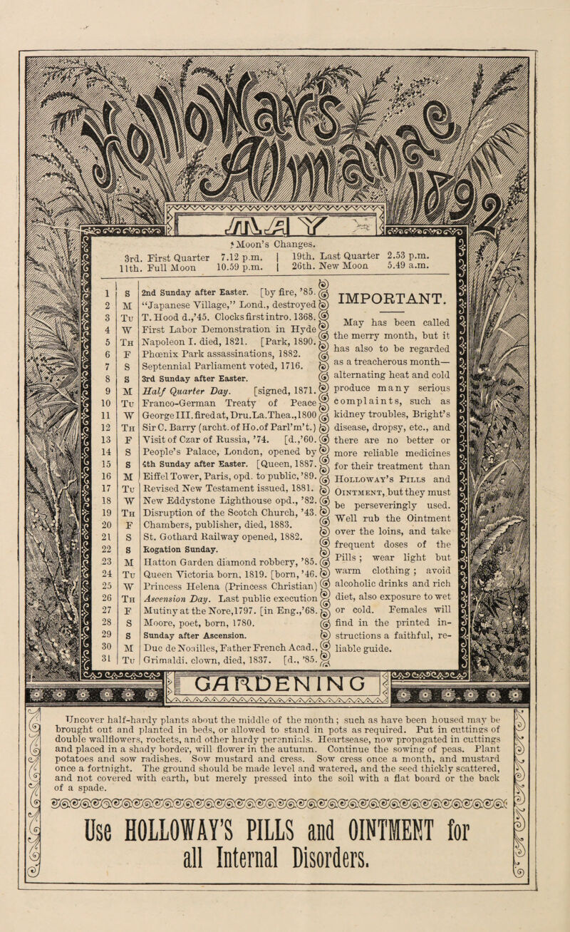 2nd Sunday after Easter, [by fire, ’85. “Japanese Village,” Lond., destroyed) T. Hood d.,’45. Clocks first intro. 1368.1 First Labor Demonstration in Hyde' Napoleon I. died, 1821. [Park, 1890. ( Phoenix Park assassinations, 1882. Septennial Parliament voted, 1716. 3rd Sunday after Easter. Half Quarter Day. [signed, 1871. | Franco-German Treaty of Peace George III. fired at, Dru.La. Thea., 1800 ^ SirC. Barry (archt. of Ho.of Parl’m’t.) j Visit of Czar of Russia, ’74. [d.,’60. < People’s Palace, London, opened by* 4th Sunday after Easter. [Queen, 1887. Eiffel Tower, Paris, opd. to public, ’89. j Revised New Testament issued, 1881. New Eddystone Lighthouse opd., ’82. Disruption of the Scotch Church, ’43. Chambers, publisher, died, 1883. St. Gothard Railway opened, 1882. Rogation Sunday. Hatton Garden diamond robbery, ’85. Queen Victoria born, 1819. [born, ’46. i Princess Helena (Princess Christian)1 Ascension Day. Last public execution ' Mutiny at the Nore,1797. [in Eng.,’68. \ Moore, poet, born, 1780. Sunday after Ascension. Due de Noailles, Father French Acad.,1 Grimaldi, clown, died, 1837. [d., ’85.J May has been called the merry month, but it has also to be regarded as a treacherous month— alternating heat and cold produce many serious complaints, such as kidney troubles, Bright’s disease, dropsy, etc., and there are no better or more reliable medicines for their treatment than Holloway’s Pills and Ointment, but they must be perseveringly used. Well rub the Ointment over the loins, and take frequent doses of the Pills ; wear light but warm clothing ; avoid alcoholic drinks and rich diet, also exposure to wet or cold. Females will find in the printed in¬ structions a faithful, re¬ liable guide. ME £s.\S> Uncover half-hardy plants about the middle of the month ; such as have been housed may be brought out and planted in beds, or allowed to stand in pots as required. Put in cuttinsrs of double wallflowers, rockets, and other hardy perennials. Heartsease, now propagated in cuttings and placed in a shady border, will flower in the autumn. Continue the sowing of peas. Plant potatoes and sow radishes. Sow mustard and cress. Sow cress once a month, and mustard once a fortnight. The ground should be made level and watered, and the seed thickly scattered, and not covered with earth, but merely pressed into the soil with a flat board or the back of a spade. I Use HOLLOWAY’S PILLS and OINTMENT for all Internal Disorders. e> k ft) I