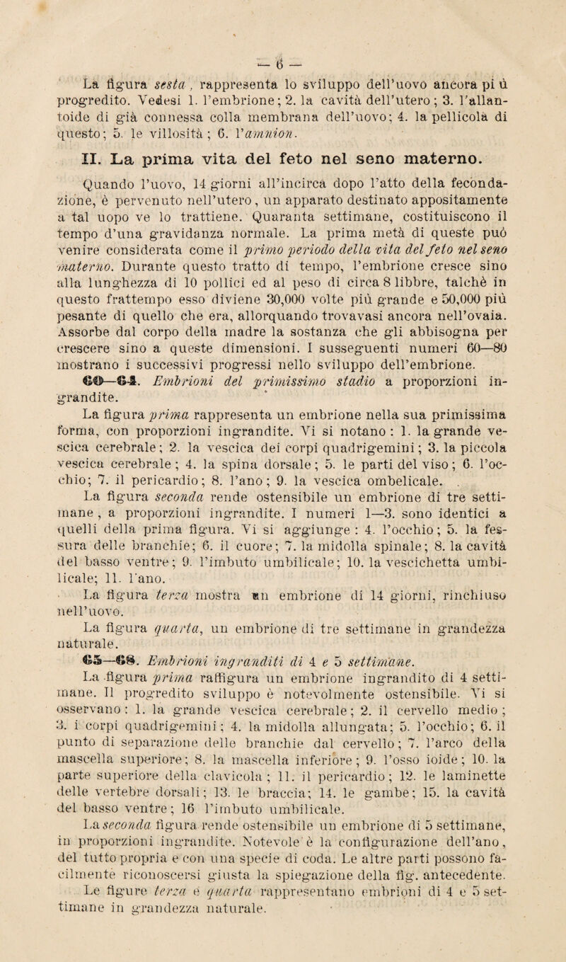 La figura sesia rappresenta lo sviluppo dell’uovo anéora pi ù progredito. Vedesi 1. l’embrione; 2. la cavità dell’utero; 3. l’allan- toide di già connessa colla membrana dell’uovo; 4. la i^ellicola di questo; 5. le villosità; 6. Vamnion. II. La prima vita del feto nel seno materno. Quando l’uovo, 14 giorni aH’incirca dopo l’atto della feconda¬ zione, è pervenuto nell’utero, un apparato destinato appositamente a tal uopo ve lo trattiene. Quaranta settimane, costituiscono il tempo d’una gravidanza normale. La prima metà di queste può venire considerata come il primo periodo della vita del feto nel seno materno. Durante questo tratto di tempo, l’embrione cresce sino alla lunghezza di 10 pollici ed al peso di circa 8 libbre, talché in questo frattempo esso diviene 30,000 volte più grande e 50,000 più pesante di quello che era, allorquando trovavasi ancora nell’ovaia. Assorbe dal corpo della madre la sostanza che gli abbisogna per crescere sino a queste dimensioni. I susseguenti numeri 60—80 mostrano i successivi progressi nello sviluppo deH’embrione. C©—M. Embrioni del primissimo stadio a proporzioni in¬ grandite. La figura prima rappresenta un embrione nella sua primissima forma, con proporzioni ingrandite. Vi si notano: 1. la grande ve¬ scica cerebrale; 2. la vescica dei corpi quadrigemini; 3. la piccola vescica cerebrale; 4. la spina dorsale; 5. le parti del viso ; 6. l’oc¬ chio; 7. il pericardio; 8. l’ano; 9. la vescica ombelicale. La figura seconda rende ostensibile un embrione di tre setti¬ mane , a proporzioni ingrandite. I numeri 1—3. sono identici a quelli della prima figura. Vi si aggiunge : 4. l’occhio; 5. la fes¬ sura delle branchie; 6. il cuore; 7. la midolla spinale; 8. la cavità del basso ventre; 9. l’imbuto umbilicale; 10. la vescichetta umbi- 1 leale; 11. l'ano. La figura terza mostra m embrione di 14 giorni, rinchiuso nell’uovo. La figura quarta, un embrione di tre settimane in grandezza naturale. fó—6®. Embrioni ingranditi di 4 e 5 settimane. La -figura prima raffigura un embrione ingrandito di 4 setti¬ mane. 11 progredito sviluppo è notevolmente ostensibile. Vi si osservano: 1. la grande vescica cerebrale; 2. il cervello medio; 3. i corpi quadrigemini; 4. la midolla allungata; 5. l’occhio; 6. il punto di separazione delle branchie dal cervello ; 7. l’arco della mascella superiore; 8. la mascella inferiore; 9. l’osso ioide; 10. la parte superiore della clavicola ; 11. il pericardio; 12. le laminette delle vertebre dorsali; 13. le braccia; 14. le gambe; 15. la cavità del basso ventre; 16 l’imbuto umbilicale. La seconda figura rende ostensibile un embrione di 5 settimane, in proporzioni ingrandite. Notevole'è la configurazione dell’ano, del tutto propria e con una specie di coda. Le altre parti possono fa¬ cilmente riconoscersi giusta la spiegazione della fìg. antecedente. Le figure terza é quarta rappresentano embrioni di 4 e 5 set¬ timane in grandezza naturale.