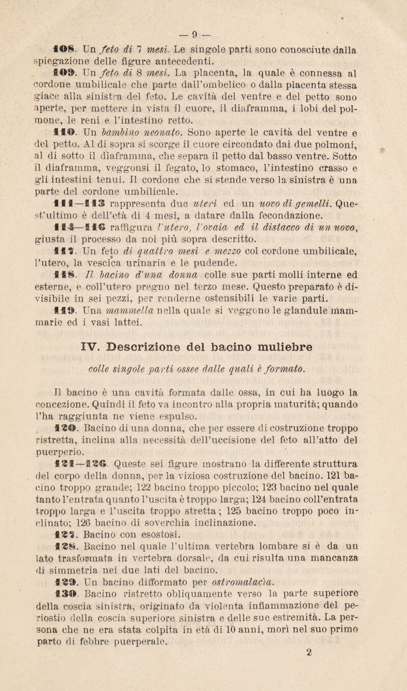 408. Un feto di 7 mesi. Le singole parti sono conosciute dalla spiegazione delle figure antecedenti. 400. Un feto di 8 mesi. La placenta, la quale è connessa al cordone unibili cale che parte dall’ombelico o dalla placenta stessa giace alla sinistra del feto. Le cavità del ventre e del petto sono aperte, per mettere in vista il cuore, il diaframma, i lobi del pol¬ mone, le reni e l’intestino retto. II#. Un bambino neonato. Sono aperte le cavità del ventre e del petto. Al di sopra si scorge il cuore circondato dai due polmoni, al di sotto il diaframma, che separa il petto dal basso ventre. Sotto il diaframma, veggonsi il fegato, lo stomaco, l’intestino crasso e gli intestini tenui. Il cordone che si stende verso la sinistra è una parte del cordone umbilicale. 141—443 rappresenta due uteri ed un uovo di gemelli. Que¬ st’ultimo è dell’età di 4 mesi, a datare dalla fecondazione. 444—44© raffigura Vutero, l'ovaia ed il distacco di un novo, giusta il processo da noi più sopra descritto. 444. U n feto di quattro mesi e mezzo col cordone umbilicale, l’utero, la vescica urinaria e le pudende. 448. Il bacino d’una donna colle sue parti molli interne ed esterne, e coll’utero pregno nel terzo mese. Questo preparato è di¬ visibile in sei pezzi, per renderne ostensibili le varie parti. 44©. Una mammella nella quale si veggono le glandule mam¬ marie ed i vasi lattei. IV. Descrizione del bacino muliebre colle singole parti ossee dalle quali è formato. Il bacino è una cavità formata dalle ossa, in cui ha luogo la concezione. Quindi il feto va incontro alla propria maturità; quando l’ha raggiunta ne viene espulso. 4?©. Bacino di una donna, che per essere di costruzione troppo ristretta, inclina alla necessità dell’uccisione del feto all’atto del puerperio. 4$4—4©©. Queste sei figure mostrano la differente struttura del corpo della donna, per la viziosa costruzione del bacino. 121 ba¬ cino troppo grande; 122 bacino troppo piccolo; 123 bacino nel quale tanto l’entrata quanto l’uscita è troppo larga; 124 bacino coll’entrata troppo larga e l’uscita troppo stretta ; 125 bacino troppo poco in¬ clinato; 126 bacino di soverchia inclinazione. 484. Bacino con esostosi. 188. Bacino nel quale l’ultima vertebra lombare si è da un lato trasformata in vertebra dorsale, da cui risulta una mancanza di simmetria nei due lati del bacino. 48©. Un bacino difformato per ostrornaiacìa. 430, Bacino ristretto obliquamente verso la parte superiore della coscia sinistra, originato da violenta infiammazione del pe¬ riostio della coscia superiore sinistra e delle sue estremità. La per¬ sona che ne era stata colpita in età di 10 anni, morì nel suo primo parto di febbre puerperale. 2