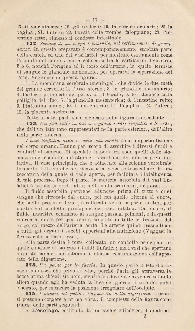 17. il rene sinistro ; 18. gli ureterii; 19. la vescica urinaria; 20. la vagina; 21. l’utero; 22. l’ovaia colle trombe falloppiane; 23. l’in¬ testino retto, rimosso il condotto intestinale. It. Sezione di un corpo femminile, nel settimo mese di gravi¬ danza. In questo preparato è contemporaneamente snudata parte della costola ed uno dei vasi lattei, per mostrare esattamente come la punta del cuore viene a collocarsi tra le cartilagini delle coste 5 o 6, nonché l’origine ed il corso dell’arteria, la quale fornisce di sangue le glandule mammarie, per operarvi la separazione del latte. Yeggonsi in questa figura: 1. La membrana cerebrale (meninge), che divide le due metà del grande cervello; 2. l’osso sterno; 3. le glandule mammarie; 4. l’arteria principale del petto; 5. il fegato; 6. lo stomaco colla poltiglia del cibo; 7. la gianduia mesenterica; 8. Lintestino retto; 9. l’intestino tenue; 10. il mesenterio; 11. l’epiploo; 12. l’utero; 13. la placenta sezionata. Tutte le altri parti sono elencate nella figura antecedente. IH3. Un fanciullo in cui si veggono i vasi linfatici e le vene, che dall’un lato sono rappresentati nella parte esteriore, dall’altro nella parte interna. I vasi linfatici ossia le vene assorbenti sono importantissime nel corpo umano. Hanno per iscopo di assorbire i diversi fluidi e condurli al sangue. Di speciale importanza sono quelli dello sto¬ maco e del condotto intestinale. Assorbono dai cibi la parte nu¬ tritiva. Il vaso principale, che è adiacente alla colonna vertebrale trasporta il fluido che ne ricava alla vena sotto-ascellare, la im¬ boccatura della quale si vede aperta, per facilitare l’intelligenza di tale processo. Dopo il pasto, la materia assorbita dai vasi lin¬ fatici è bianca color di latte; nello stato ordinario, acquoso. II fluido assorbito perviene adunque prima di tutto a quel sangue che ritrocede dal cuore, poi con quello ritorna al cuore, che nella presente figura è collocato verso la parte destra, per mostrare il condotto principale dei vasi linfatici. Dal cuore, il fluido nutritivo commisto al sangue passa ai polmoni, e da questi ritorna al cuore per poi venire sospinto in tutte le direzioni del corpo, col mezzo dell’arteria aorta. Le arterie quindi trasmettono a tutti gli organi i succhi opportuni alla nutrizione (Yeggasi la figura colle arterie rosse. ) Alla parte destra è pure collocato un condotto principale, il quale conduce al sangue i fluidi linfatici ; ma i vasi che spettano a questo canale, non istanno in alcuna comunicazione coll’appa¬ rato della digestione. f K4. Un parto per la faccia. In questo parto il feto d’ordi¬ nario non esce che privo di vita, perchè l’aria gli attraversa la bocca prima ch’egli sia nato, mentre ciò dovrebbe avvenire soltanto allora quando egli ha veduta la luce del giorno. L’osso del pube è segato, per mostrare la posizione irregolare dell’occipite. 135. I visceri del petto e Vapparato della digestione. I primi si possono scorgere a prima vista ; il complesso della figura com- ponesi delle parti seguenti: a. L’esofago, costituito da un canale cilindrico, il quale al- 3