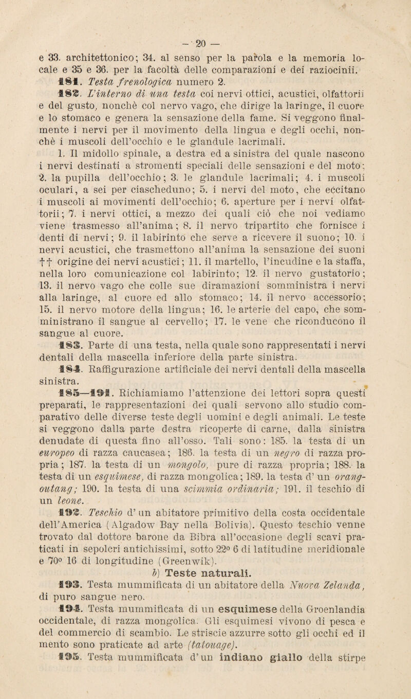 e 33. architettonico; 34. al senso per la parola e la memoria lo¬ cale e 35 e 36. per la facoltà delle comparazioni e dei raziocinii. 481. Testa frenologica numero 2. 48£. L’interno di una testa coi nervi ottici, acustici, olfattorii e del gusto, nonché col nervo vago, che dirige la laringe, il cuore e lo stomaco e genera la sensazione della fame. Si veggono final¬ mente i nervi per il movimento della lingua e degli occhi, non¬ ché i muscoli dell’occhio e le glandule lacrimali. 1. Il midollo spinale, a destra ed a sinistra del quale nascono i nervi destinati a stromenti speciali delle sensazioni e del moto ; 2. la pupilla dell’occhio; 3. le glandule lacrimali; 4. i muscoli oculari, a sei per ciascheduno; 5. i nervi del moto, che eccitano i muscoli ai movimenti dell’occhio; 6. aperture per i nervi olfat¬ torii; 7. i nervi ottici, a mezzo dei quali ciò che noi vediamo viene trasmesso all’anima ; 8. il nervo tripartito che fornisce i denti di nervi; 9. il labirinto che serve a ricevere il suono; 10. i nervi acustici, che trasmettono all’anima la sensazione dei suoni f t origine dei nervi acustici; 11. il martello, l’incudine e la staffa, nella loro comunicazione col labirinto; 12. il nervo gustatorio ; 13. il nervo vago che colle sue diramazioni somministra i nervi alla laringe, al cuore ed allo stomaco; 14. il nervo accessorio; 15. il nervo motore della lingua; 16. le arterie del capo, che som¬ ministrano il sangue al cervello; 17. le vene che riconducono il sangue al cuore. 18$. Parte di una testa, nella quale sono rappresentati i nervi dentali della mascella inferiore della parte sinistra. 184. Raffigurazione artificiale dei nervi dentali della mascella sinistra. 185—lUl. Richiamiamo l’attenzione dei lettori sopra questi preparati, le rappresentazioni dei quali servono allo studio com¬ parativo delle diverse teste degli uomini e degli animali. Le teste si veggono dalla parte destra ricoperte di carne, dalla sinistra denudate di questa fino all’osso. Tali sono : 185. la testa di un europeo di razza caucasea ; 186. la testa di un negro di razza pro¬ pria ; 187. la testa di un mongolo, pure di razza propria; 188. la testa di un esquimese, di razza mongolica; 189. la testa d7 un orang- outang; 190. la festa di una scimmia ordinaria; 191. il teschio di un leone. ili®. Teschio d’ un abitatore primitivo della costa occidentale dell’America (Algadow Bay nella Bolivia). Questo teschio venne trovato dal dottore barone da Bibra all’occasione degli scavi pra¬ ticati in sepolcri antichissimi, sotto 22° 6 di latitudine meridionale e 70° 16 di longitudine (Greenwik). I) Teste naturali. 493. Testa mummificata di un abitatore della Nuora Zelanda, di puro sangue nero. 194. Testa mummificata di un esquimese della Groenlandia occidentale, di razza mongolica. Gli esquimesi vivono di pesca e del commercio di scambio. Le striscie azzurre sotto gli occhi ed il mento sono praticate ad arte (tatouage). 195. Testa mummificata d’un indiano giallo della stirpe
