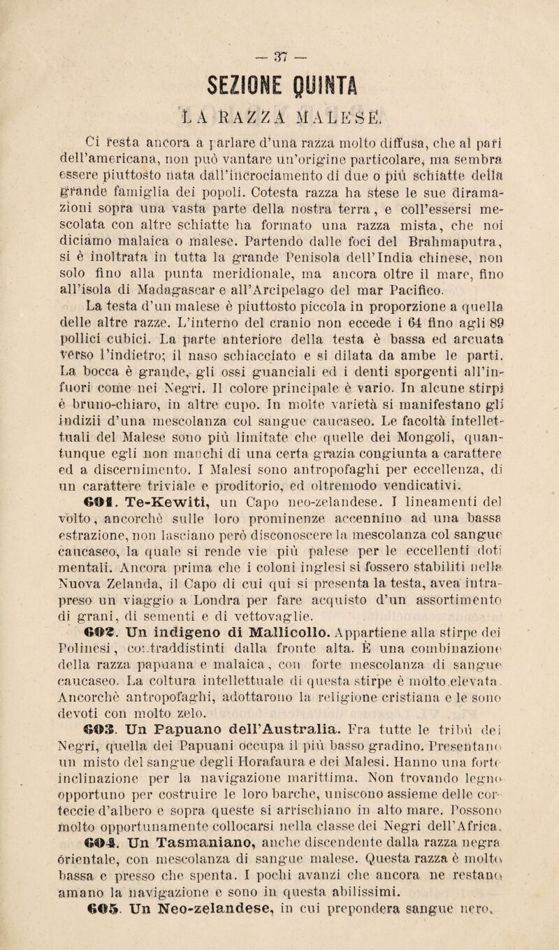SEZIONE QUINTA LA RAZZA MALESE. Ci l'està ancora a parlare d’una razza molto diffusa, che al pari dell’americana, non può vantare un’origine particolare, nia sembra essere piuttosto nata dàU’iiicrociamerito di due o più Schiatte della grande famiglia dei popoli. Cotesta razza ha stese le sue dirama¬ zioni sopra una vasta parte della nostra terra, e coll’essersi me¬ scolata con altre schiatte ha formato una razza mista, che noi diciamo malaica o malese. Partendo dalle foci del Brahmaputra, si è inoltrata in tutta la grande Penisola dell’India chinese, non solo fino alla punta meridionale, ma ancora oltre il mare, fino all’isola di Madagascar e all’Arcipelago del mar Pacifico. La testa d’un malese è piuttosto piccola in proporzione a quella delle altre razze. L’interno del cranio non eccede i 64 fino agli 89 pollici cubici. La parte anteriore della testa è bassa ed arcuata verso 1 indietro; il naso schiacciato e si dilata da ambe le parti. La bocca è grande,- gli ossi guanciali ed i denti sporgenti al Fin- fuori come nei Negri. Il colore principale è vario. In alcune stirpi è bruno-chiaro, in altre cupo. In molte varietà si manifestano gli indizii d’una mescolanza col sangue caucaseo. Le facoltà intellet¬ tuali del Malese sono più limitate che quelle dei Mongoli, quan¬ tunque egli non manchi di una certa grazia congiunta a carattere ed a discernimento. I Malesi sono antropofaghi per eccellenza, di un carattere triviale e proditorio, ed oltremodo vendicativi. GOfl. Te-Kewiti, un Capo neo-zelandese. I lineamenti del volto, ancorché sulle loro prominenze accennino ad una bassa estrazione, non lasciano però disconoscere la mescolanza col sangue caucaseo, la quale si rende vie più palese per le eccellenti doti mentali. Ancora prima che i coloni inglesi si fossero stabiliti nella Nuova Zelanda, il Capo di cui qui si presenta la testa, avea intra¬ preso un viaggio a Londra per fare acquisto d’un assortimento di grani, di sementi e di vettovaglie. Un indigeno di Mallicollo. Appartiene alla stirpe dei Polinesi, contraddistinti dalla fronte alta. È una combinazione della razza papuana e malaica, con forte mescolanza di sangue caucaseo. La coltura intellettuale di questa stirpe è molto elevata. Ancorché antropofaghi, adottarono la religione cristiana e le sono devoti con molto zelo. 6©3. Un Papuano dell’Australia. Fra tutte le tribù dei Negri, quella dei Papuani occupa il più basso gradino. Presentano un misto del sangue degli Horafaura e dei Malesi. Hanno una forte inclinazione per la navigazione marittima. Non trovando legno opportuno per costruire le loro barche, uniscono assieme delle cor- feccie d’albero e sopra queste si arrischiano in alto mare. Possono molto opportunamente collocarsi nella classe dei Negri dell’Africa, G04. Un Tasmaniano, anche discendente dalla razza negra orientale, con mescolanza di sangue malese. Questa razza è molto, bassa e presso che spenta. I pochi avanzi che ancora ne restano amano la navigazione e sono in questa abilissimi. 6115. Un Neozelandese, in cui prepondera sangue nero.