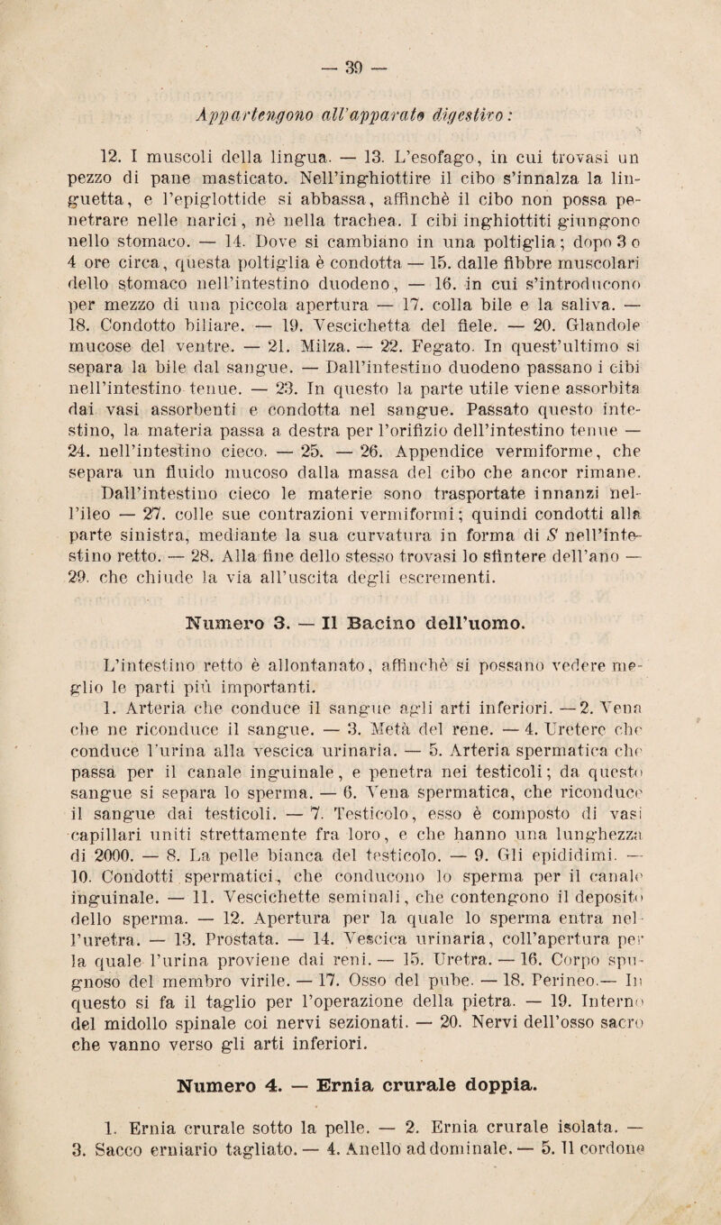 Appartengono all’apparato digestivo : 12. I muscoli della lingua. — 13. L’esofago, in cui trovasi un pezzo di pane masticato. Nell’inghiottire il cibo s’innalza la lin¬ guetta, e l’epiglottide si abbassa, affinchè il cibo non possa pe¬ netrare nelle narici, nè nella trachea. I cibi inghiottiti giungono nello stomaco. — 14. Dove si cambiano in una poltiglia!; dopo 3 o 4 ore circa, questa poltiglia è condotta — 15. dalle fibbre muscolari dello stomaco nell’intestino duodeno, — 16. in cui s’introducono per mezzo di una piccola apertura — 17. colla bile e la saliva. — 18. Condotto biliare. — 19. Vescichetta del fiele. — 20. Glandolo mucose del ventre. — 21. Milza. — 22. Fegato. In quest’ultimo si separa la bile dal sangue. — Dall’intestino duodeno passano i cibi nell’intestino tenue. — 23. In questo la parte utile viene assorbita dai vasi assorbenti e condotta nel sangue. Passato questo inte¬ stino, la materia passa a destra per l’orifìzio dell’intestino tenue — 24. nell’intestino cieco. — 25. — 26. Appendice vermiforme, che separa un fluido mucoso dalla massa del cibo che ancor rimane. Dall’intestino cieco le materie sono trasportate innanzi nel¬ l’ileo — 27. colle sue contrazioni vermiformi ; quindi condotti alla parte sinistra, mediante la sua curvatura in forma di S nell’inte¬ stino retto. — 28. Alla fine dello stesso trovasi lo sfintere dell’ano — 29. che chiude la via all’uscita degli escrementi. Numero 3. — Il Bacino delFuomo. L’intestino retto è allontanato, affinchè si possano vedere me¬ glio le parti più importanti. 1. Arteria che conduce il sangue agli arti inferiori. —2. Vena che ne riconduce il sangue. — 3. Metà del rene. — 4. Uretere che conduce Purina alla vescica urinaria. — 5. Arteria spermatica che passa per il canale inguinale, e penetra nei testicoli; da questo sangue si separa lo sperma. — 6. Vena spermatica, che riconduce il sangue dai testicoli. — 7. Testicolo, esso è composto di vasi capillari uniti strettamente fra loro, e che hanno una lunghezza di 2000. — 8. La pelle bianca del testicolo. — 9. Gli epididimi. — 10. Condotti spermatici , che conducono lo sperma per il canale inguinale. — 11. Vescichette seminali, che contengono il deposito dello sperma. — 12. Apertura per la quale lo sperma entra nel l’uretra. — 13. Prostata. — 14. Vescica urinaria, coll’apertura per la quale Purina proviene dai reni. — 15. Uretra. — 16. Corpo spu¬ gnoso del membro virile. — 17. Osso del pube. — 18. Perineo.— In questo si fa il taglio per l’operazione della pietra. — 19. Interno del midollo spinale coi nervi sezionati. — 20. Nervi dell’osso sacro che vanno verso gli arti inferiori. Numero 4. — Ernia crurale doppia. 1. Ernia crurale sotto la pelle. — 2. Ernia crurale isolata. — 3. Sacco erniario tagliato. — 4. Anello addominale. — 5.11 cordone