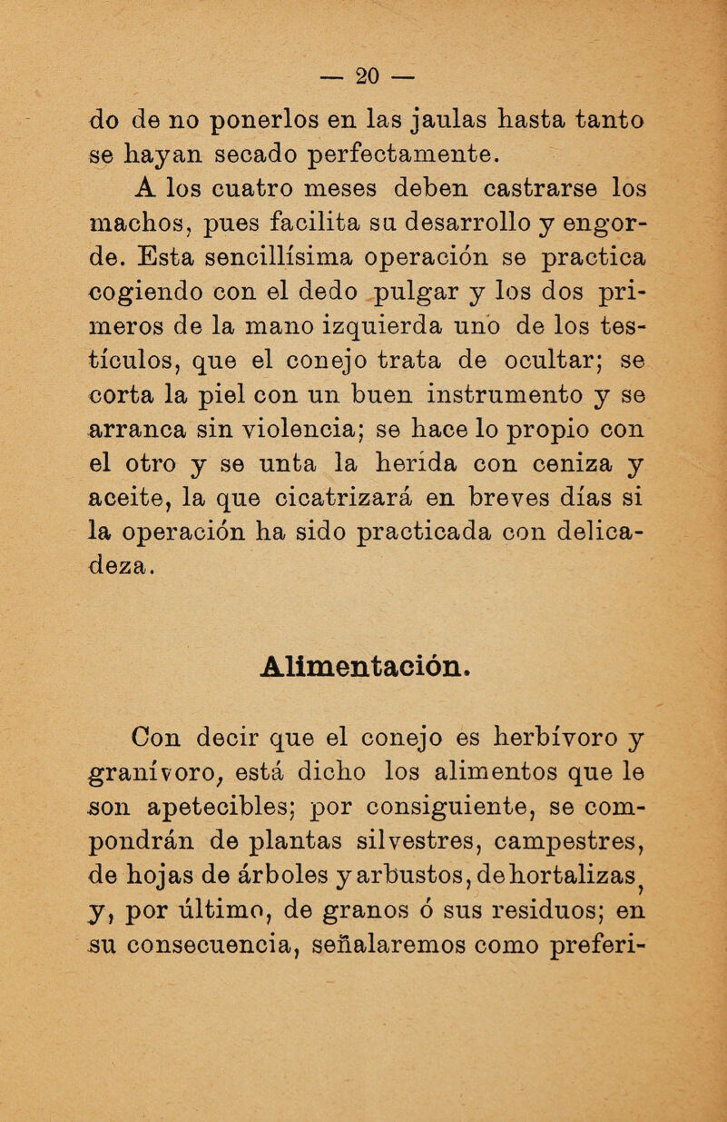 do de no ponerlos en las jaulas hasta tanto se hayan secado perfectamente. A los cuatro meses deben castrarse los machos, pues facilita su desarrollo y engor¬ de. Esta sencillísima operación se practica cogiendo con el dedo pulgar y los dos pri¬ meros de la mano izquierda uno de los tes¬ tículos, que el conejo trata de ocultar; se corta la piel con un buen instrumento y se arranca sin violencia; se hace lo propio con el otro y se unta la herida con ceniza y aceite, la que cicatrizará en breves días si la operación ha sido practicada con delica¬ deza. Alimentación. Con decir que el conejo es herbívoro y granívoro; está dicho los alimentos que le son apetecibles; por consiguiente, se com¬ pondrán de plantas silvestres, campestres, de hojas de árboles y arbustos, de hortalizas y, por último, de granos ó sus residuos; en su consecuencia, señalaremos como preferi-