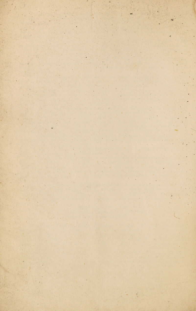 > - V I / i 4 I * ■