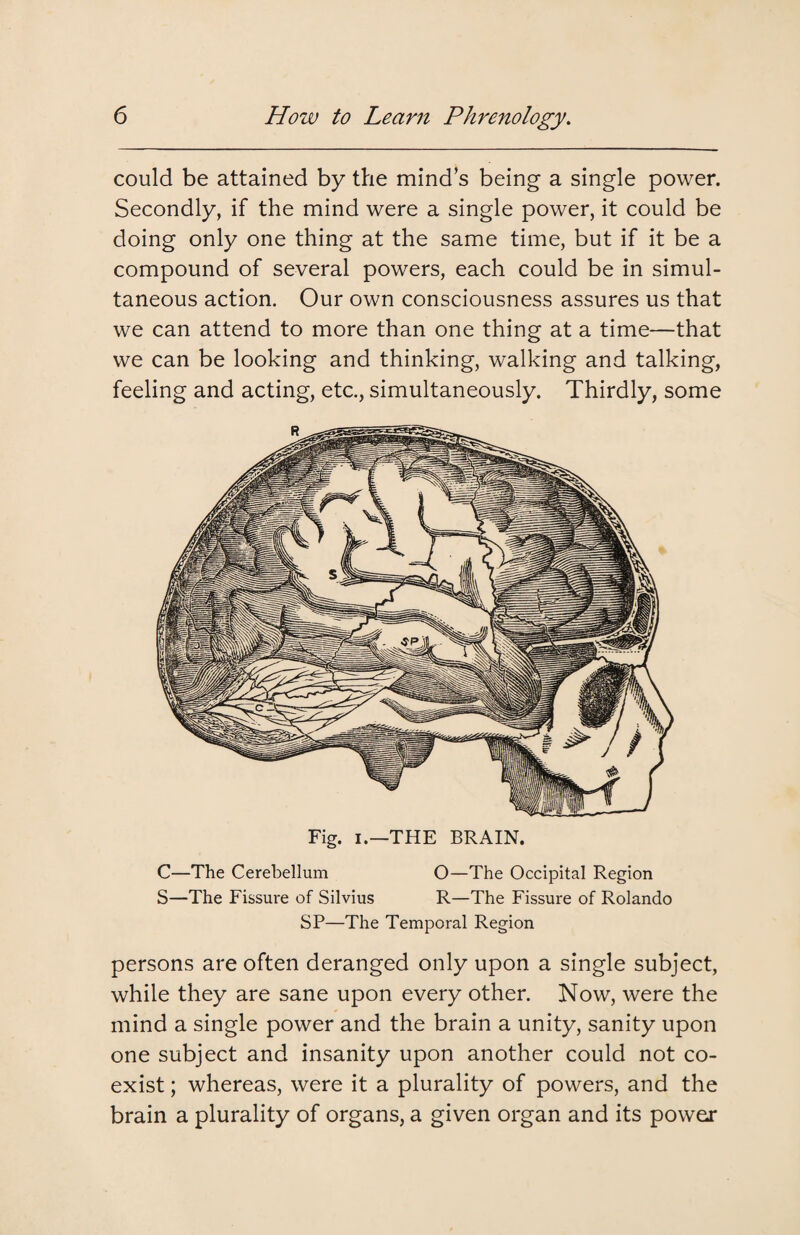 could be attained by the mind’s being a single power. Secondly, if the mind were a single power, it could be doing only one thing at the same time, but if it be a compound of several powers, each could be in simul¬ taneous action. Our own consciousness assures us that we can attend to more than one thing at a time—that we can be looking and thinking, walking and talking, feeling and acting, etc., simultaneously. Thirdly, some C—The Cerebellum O—The Occipital Region S—The Fissure of Silvius R—The Fissure of Rolando SP—The Temporal Region persons are often deranged only upon a single subject, while they are sane upon every other. Now, were the mind a single power and the brain a unity, sanity upon one subject and insanity upon another could not co¬ exist ; whereas, were it a plurality of powers, and the brain a plurality of organs, a given organ and its power