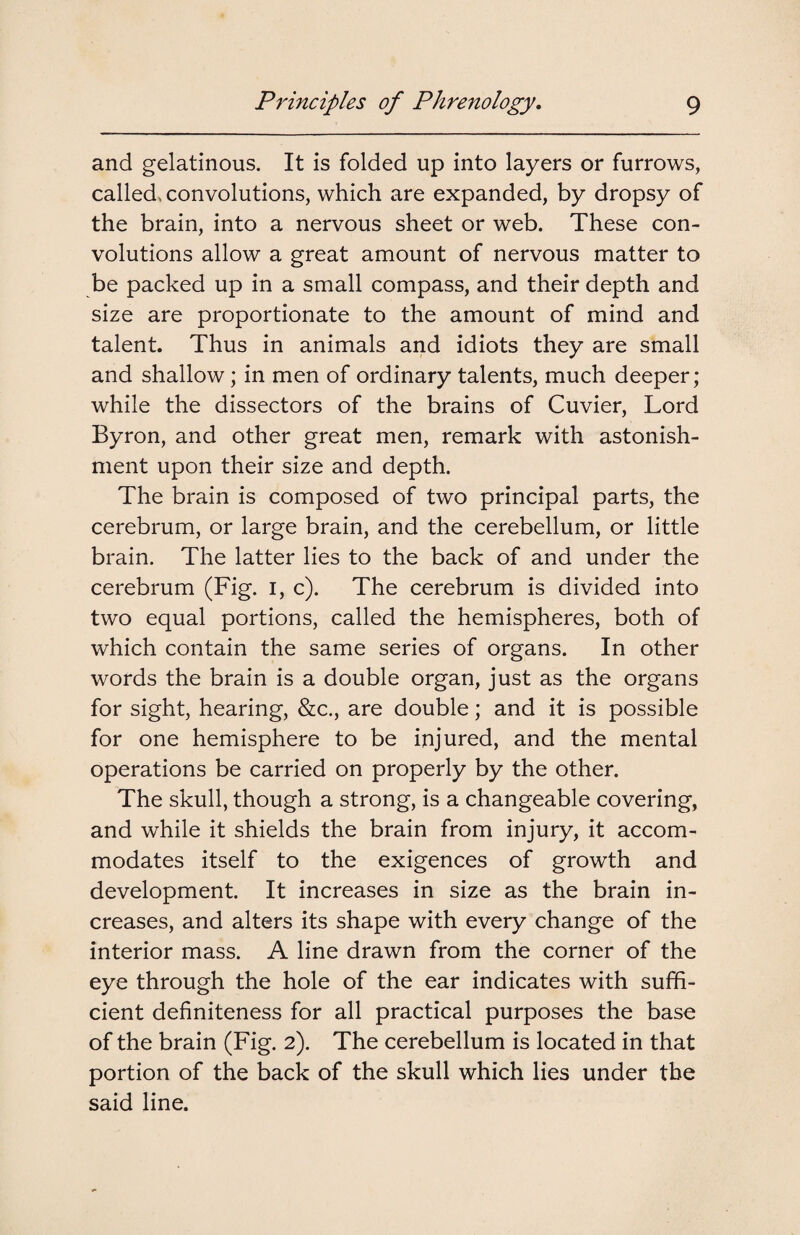 and gelatinous. It is folded up into layers or furrows, called, convolutions, which are expanded, by dropsy of the brain, into a nervous sheet or web. These con¬ volutions allow a great amount of nervous matter to be packed up in a small compass, and their depth and size are proportionate to the amount of mind and talent. Thus in animals and idiots they are small and shallow; in men of ordinary talents, much deeper; while the dissectors of the brains of Cuvier, Lord Byron, and other great men, remark with astonish¬ ment upon their size and depth. The brain is composed of two principal parts, the cerebrum, or large brain, and the cerebellum, or little brain. The latter lies to the back of and under the cerebrum (Fig. I, c). The cerebrum is divided into two equal portions, called the hemispheres, both of which contain the same series of organs. In other words the brain is a double organ, just as the organs for sight, hearing, &c., are double; and it is possible for one hemisphere to be injured, and the mental operations be carried on properly by the other. The skull, though a strong, is a changeable covering, and while it shields the brain from injury, it accom¬ modates itself to the exigences of growth and development. It increases in size as the brain in¬ creases, and alters its shape with every change of the interior mass. A line drawn from the corner of the eye through the hole of the ear indicates with suffi¬ cient definiteness for all practical purposes the base of the brain (Fig. 2). The cerebellum is located in that portion of the back of the skull which lies under the said line.