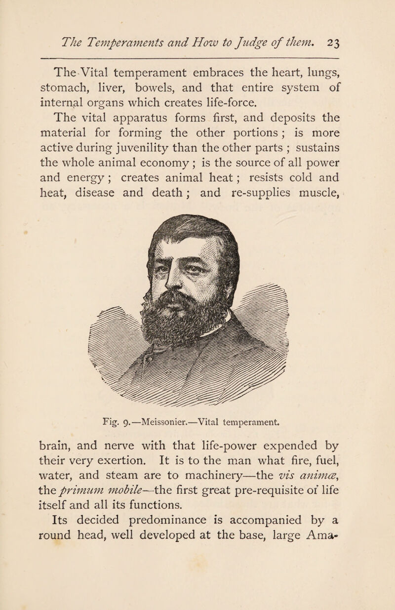 The Vital temperament embraces the heart, lungs, stomach, liver, bowels, and that entire system of internal organs which creates life-force. The vital apparatus forms first, and deposits the material for forming the other portions; is more active during juvenility than the other parts ; sustains the whole animal economy ; is the source of all power and energy ; creates animal heat; resists cold and heat, disease and death; and re-supplies muscle, Fig. 9.—Meissonier.—Vital temperament. brain, and nerve with that life-power expended by their very exertion. It is to the man what fire, fuel, water, and steam are to machinery—the vis aninuz, the primum mobile—-the first great pre-requisite of life itself and all its functions. Its decided predominance is accompanied by a round head, well developed at the base, large Ama*
