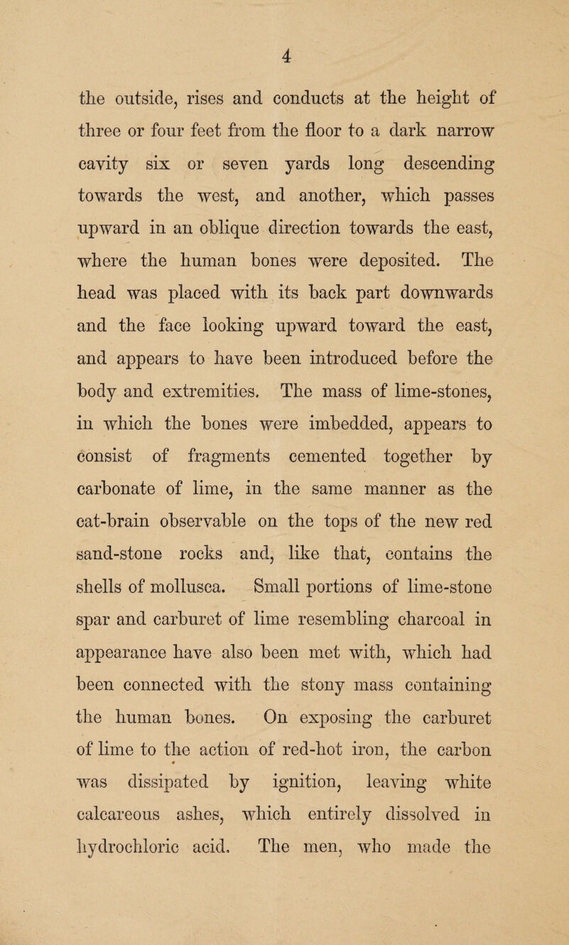 the outside, rises and conducts at the height of three or four feet from the floor to a dark narrow cavity six or seven yards long descending towards the west, and another, which passes upward in an oblique direction towards the east, where the human bones were deposited. The head was placed with its back part downwards and the face looking upward toward the east, and appears to have been introduced before the body and extremities. The mass of lime-stones, in which the bones were imbedded, appears to consist of fragments cemented together by carbonate of lime, in the same manner as the cat-brain observable on the tops of the new red sand-stone rocks and, like that, contains the shells of mollusca. Small portions of lime-stone spar and carburet of lime resembling charcoal in appearance have also been met with, which had been connected with the stony mass containing the human bones. On exposing the carburet of lime to the action of red-hot iron, the carbon * was dissipated by ignition, leaving white calcareous ashes, which entirely dissolved in hydrochloric acid. The men, who made the