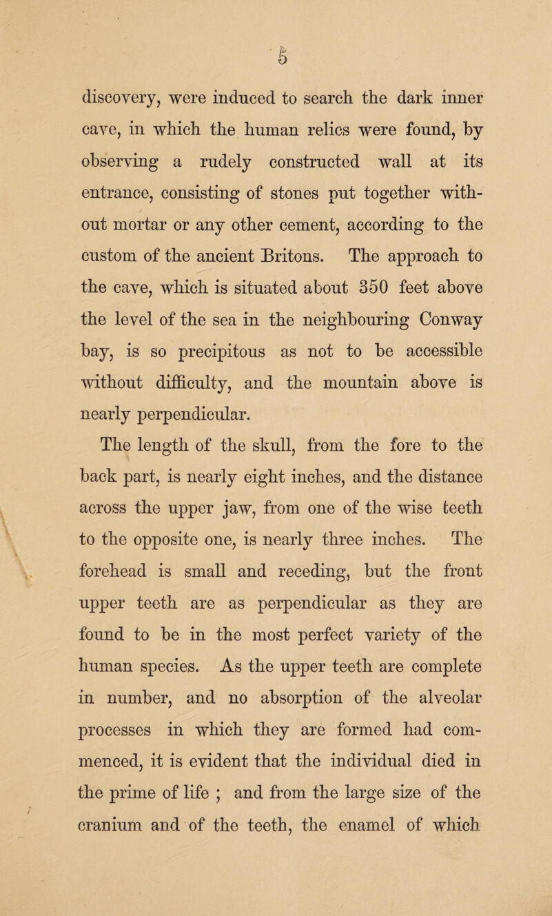 discovery, were induced to search the dark inner cave, in which the human relics were found, by observing a rudely constructed wall at its entrance, consisting of stones put together with¬ out mortar or any other cement, according to the custom of the ancient Britons. The approach to the cave, which is situated about 350 feet above the level of the sea in the neighbouring Conway bay, is so precipitous as not to be accessible without difficulty, and the mountain above is nearly perpendicular. The length of the skull, from the fore to the back part, is nearly eight inches, and the distance across the upper jaw, from one of the wise teeth to the opposite one, is nearly three inches. The forehead is small and receding, but the front upper teeth are as perpendicular as they are found to be in the most perfect variety of the human species. As the upper teeth are complete in number, and no absorption of the alveolar processes in which they are formed had com¬ menced, it is evident that the individual died in the prime of life ; and from the large size of the cranium and of the teeth, the enamel of which