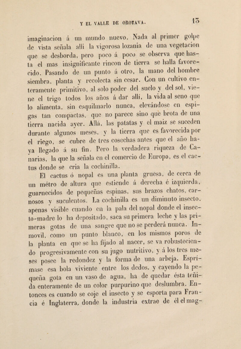 15 imaginación á un mundo nuevo. Nada al primer golpe de vista señala alli la vigorosa lozania de una vegetación que se desborda, pero poco á poco se observa que bas¬ ta el mas insignificante rincón de tierra se halla favore¬ cido. Pasando de un punto á otro, la mano del hombre siembra, planta y recolecta sin cesar. Con un cultivo en¬ teramente primitivo, al solo poder del suelo y del sol, 'vie¬ ne el trigo todos los años a dar allí, la vida al seno que lo alimenta, sin esquilmarlo nunca, elevándose en espi¬ gas tan compactas, que no parece sino que brota de una tierra nacida ayer. Allá, las patatas y el maiz se suceden durante algunos meses, y la tierra que es favorecida por el riego, se cubre de tres cosechas antes que el año ha¬ ya llegado á su fin. Pero la verdadera riqueza de Ca¬ narias, la que la señala en el comercio de Europa, es el cac¬ tus donde se cria la cochinilla. El cactus ó nopal es una planta gruesa, de cerca de un métro de altura que estiende á derecha é izquierda, guarnecidos de pequeñas espinas, sus brazos chatos, car¬ nosos y suculentos. La cochinilla es un diminuto insecto, apenas visible cuando en la pala del nopal donde el insec¬ to-madre lo ha depositado, saca su primera leche y las pri¬ meras gotas de una sangre que no se pcideia nunca. ín móvil, como un punto blanco, en los mismos poros de la planta en que se ha fijado al nacer, se va robustecien¬ do progresivamente con su jugo nutritivo, y á los tres me¬ ses posee la redondez y la forma de una arbeja. Espi í- mase esa bola viviente entre los dedos, y cayendo la pe¬ queña gota en un vaso de agua, ha de quedar ésta teñi¬ da enteramente de un color purpurino que deslumbra. En¬ tonces es cuando se coje el insecto y se esporta para Fran¬ cia é Inglaterra, donde la industria extrae de el el mag~