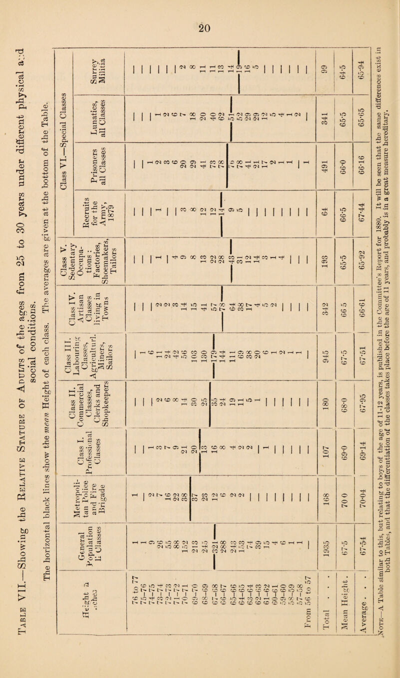 Table VII.—Showing the Relative Stature of Adults of the ages from 25 to 30 years under different physical social conditions. The horizontal black lines show the mean Height of each class. The averages are given at the bottom of the Table. r * ce GO <D ci • F-H <x> CL, CQ 3 KS <0 *rH CZ2 S C5 *P »b • M CO 03 ,—i l T r—H i—i ©I rf CO lO C (N N H i©> wo ib Jh d .so ci Ph I (N CO CO O 05 CO CO O GO —' r-l t-r ©1 66-5 tH ■cf 03 eb 03 >.cr, — _ d *© P- cdi ^ Efi -s 03 CO *H . © Jr2 Pd C/2 CO CO ©1 (M 05 i© tH n OJ(N ■^COrtH 05 co tn 6 a • »H 70 d d CO ci © HHTtllONCOCOH bC T! rr co O cc rO CO £3 c3 O CO M S g r^3 * o ^ So^ 5/2 ^ < CO -t(N© CO OS -tj* 05 GO O CO r-H ©1 wo 05 If) CO 3 ^ p ® 3 03 Ctf 03 CO © a, © © -p —. © o-S C/2 n K (M CO ©3 00 00 co ►—I d co c ^ co •—( :o CO GO CO c3 rf< 73 •—1 t£ d n. co 05 <M O (M ICO CO GO ©3 ©d I> O 05 co © o © © •© .2 xs ■Op, fS © d dH s 5 PP d » gre » p © m O o ^ Pk 05 CO I© OC ©1 CO ©4 l© 00 I© — i—I ©1 lO 00 coco© C3 1-0 ^ W H H 1 lO 03 GO -f< l© CO r-i I CO 03 CO 03 ©1 r-H Ci i© S- co id rd ,d fcx © t- t- © -o> co 1© -+ co 03 »—1 O Ci GO GO \0 CO 03 T—i O Ci 1^ 1- t- t 1 1 1 t- 1 t'- 1 L- 1 GO 1 1 GO 1 GO GO GO l 1 GO i 1 GO i 30 1 cc 1 1 1 mTfcc 1 03 l i i Ci i CO 1 l - 1 GO i l O 1 co 1 03 1 rH 1 1 Ci 1 cc tr t~ i- t- L- 1% GO GO GO GO GO CO GO GO GO s lO lO r- l© d o +5 bJC *® © i© co i© o i-i | ©i r^. co ©t co N CO ©1 © (N N 1 1 1 I | 1 1 | GO o o 1 i-S ©1 C© CO ©1 r-H 1 1 1 1 1 1 1 1 co o o t>. ip •x> a? bJD ctf f-4 <D Note—A Table similar to this, but relating to boys of the age of 11-12 years, is published in the Committee s Report for 188(L It will be seen that the same differences exist in both Tables, and that the differentiation of the classes takes place before the age of 11 years, and probably is in a great measure hereditary.
