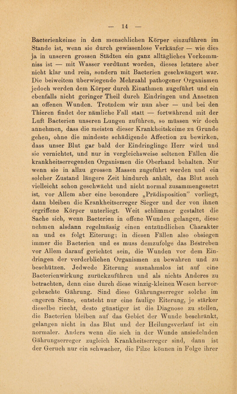 Bacterienkeime in den menschlichen Körper einzuführen im Stande ist, wenn sie durch gewissenlose Verkäufer — wie dies ja in unseren grossen Städten ein ganz alltägliches Vorkomm- niss ist — mit Wasser verdünnt worden, dieses letztere aber nicht klar und rein, sondern mit Bacterien geschwängert war. Die beiweitem überwiegende Mehrzahl pathogener Organismen jedoch werden dem Körper durch Einathmen zugeführt und ein ebenfalls nicht geringer Theil durch Eindringen und Ansetzen an offenen Wunden. Trotzdem wir nun aber — und bei den Thieren findet der nämliche Fall statt — fortwährend mit der Luft Bacterien unseren Lungen zuführen, so müssen wir doch annehmen, dass die meisten dieser Krankheitskeime zu Grunde gehen, ohne die mindeste schädigende Affection zu bewirken, dass unser Blut gar bald der Eindringlinge Herr wird und sie vernichtet, und nur in vergleichsweise seltenen Fällen die krankheitserregenden Organismen die Oberhand behalten. Nur wenn sie in allzu grossen Massen zugeführt werden und ein solcher Zustand längere Zeit hindurch anhält, das Blut auch vielleicht schon geschwächt und nicht normal zusammengesetzt ist, vor Allem aber eine besondere „Prädisposition” vorliegt, dann bleiben die Krankheitserreger Sieger und der von ihnen ergriffene Körper unterliegt. Weit schlimmer gestaltet die Sache sich, wenn Bacterien in offene Wunden gelangen, diese nehmen alsdann regelmässig einen entzündlichen Charakter an und es folgt Eiterung; in diesen Fällen also obsiegen immer die Bacterien und es muss demzufolge das Bestreben vor Allem darauf gerichtet sein, die Wunden vor dem Ein¬ dringen der verderblichen Organismen zu bewahren und zu beschützen. Jedwede Eiterung ausnahmslos ist auf eine Bacterienwirkung zurückzuführen und als nichts Anderes zu betrachten, denn eine durch diese winzig-kleinen Wesen hervor¬ gebrachte Gährung. Sind diese Gährungserreger solche im engeren Sinne, entsteht nur eine faulige Eiterung, je stärker dieselbe riecht, desto günstiger ist die Diagnose zu stellen, die Bacterien bleiben auf das Gebiet der Wunde beschränkt, gelangen nicht in das Blut und der Heilungsverlauf ist ein normaler. Anders wenn die sich in der Wunde ansiedelnden Gährungserreger zugleich Krankheitserreger sind, dann ist der Geruch nur ein schwacher, die Pilze können in Folge ihrer