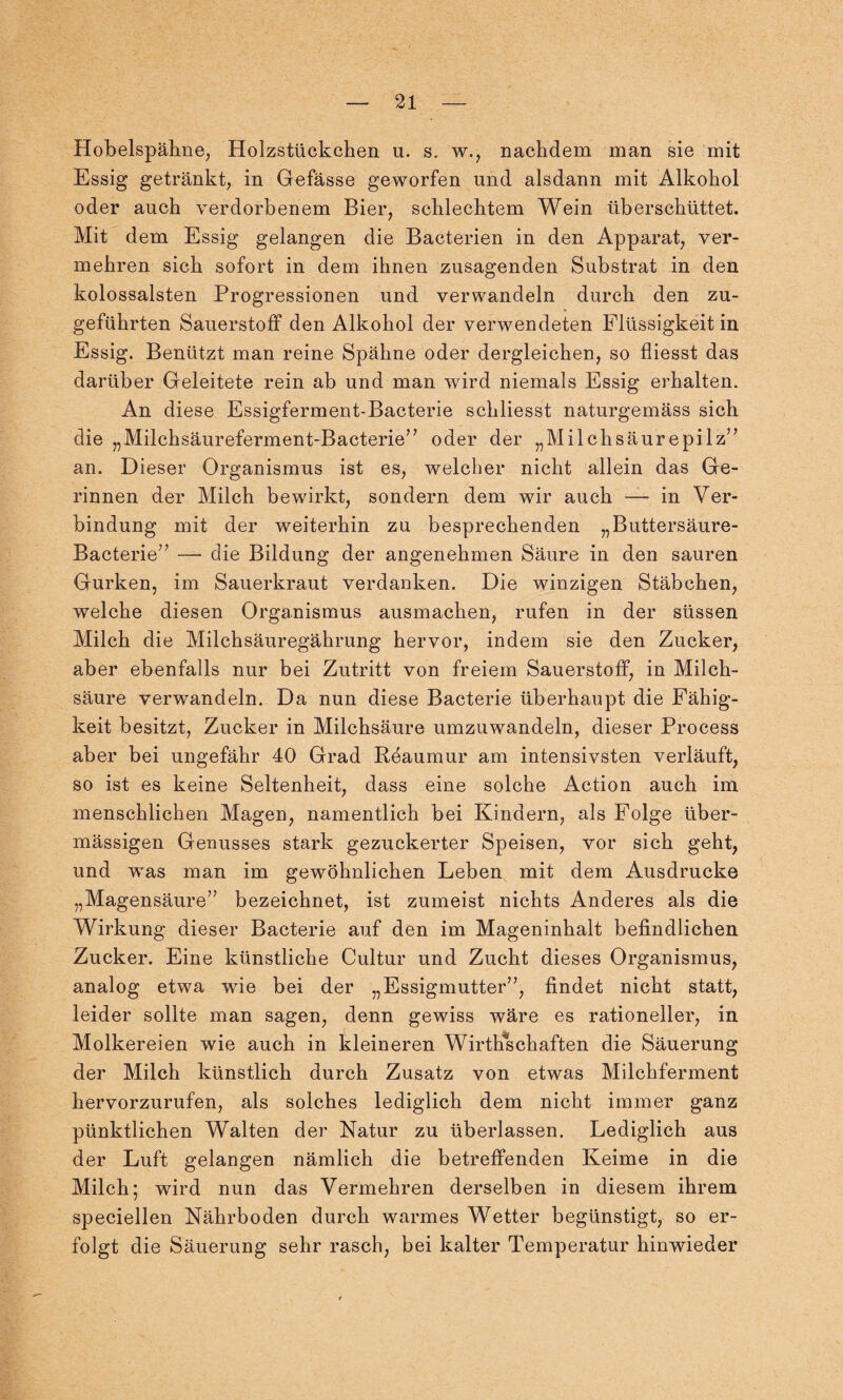 Hobelspähne, Holzstückchen u. s. w., nachdem man sie mit Essig getränkt, in Gefässe geworfen und alsdann mit Alkohol oder auch verdorbenem Bier, schlechtem Wein überschüttet. Mit dem Essig gelangen die Bacterien in den Apparat, ver¬ mehren sich sofort in dem ihnen zusagenden Substrat in den kolossalsten Progressionen und verwandeln durch den zu¬ geführten Sauerstoff den Alkohol der verwendeten Flüssigkeit in Essig. Benützt man reine Spähne oder dergleichen, so fliesst das darüber Geleitete rein ab und man wird niemals Essig erhalten. An diese Essigferment-Bacterie schliesst naturgemäss sich die „Milchsäureferment-Bacterie” oder der „Mi Ich säur epilz” an. Dieser Organismus ist es, welcher nicht allein das Ge¬ rinnen der Milch bewirkt, sondern dem wir auch — in Ver¬ bindung mit der weiterhin zu besprechenden „Buttersäure- Bacterie” — die Bildung der angenehmen Säure in den sauren Gurken, im Sauerkraut verdanken. Die winzigen Stäbchen, welche diesen Organismus ausmachen, rufen in der süssen Milch die Milchsäuregährung hervor, indem sie den Zucker, aber ebenfalls nur bei Zutritt von freiem Sauerstoff, in Milch¬ säure verwandeln. Da nun diese Bacterie überhaupt die Fähig¬ keit besitzt, Zucker in Milchsäure umzuwandeln, dieser Process aber bei ungefähr 40 Grad Reaumur am intensivsten verläuft, so ist es keine Seltenheit, dass eine solche Action auch im menschlichen Magen, namentlich bei Kindern, als Folge über¬ mässigen Genusses stark gezuckerter Speisen, vor sich geht, und was man im gewöhnlichen Leben mit dem Ausdrucke „Magensäure” bezeichnet, ist zumeist nichts Anderes als die Wirkung dieser Bacterie auf den im Mageninhalt befindlichen Zucker. Eine künstliche Cultur und Zucht dieses Organismus, analog etwa wie bei der „Essigmutter”, findet nicht statt, leider sollte man sagen, denn gewiss wäre es rationeller, in Molkereien wie auch in kleineren Wirtschaften die Säuerung der Milch künstlich durch Zusatz von etwas Milchferment hervorzurufen, als solches lediglich dem nicht immer ganz pünktlichen Walten der Natur zu überlassen. Lediglich aus der Luft gelangen nämlich die betreffenden Keime in die Milch; wird nun das Vermehren derselben in diesem ihrem speciellen Nährboden durch warmes Wetter begünstigt, so er¬ folgt die Säuerung sehr rasch, bei kalter Temperatur hinwieder