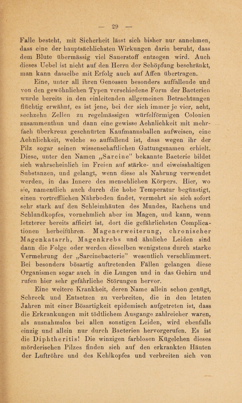 Falle besteht, mit Sicherheit lässt sich bisher nur annehmen, dass eine der hauptsächlichsten Wirkungen darin beruht, dass dem Blute übermässig viel Sauerstoff entzogen wird. Auch dieses Uebel ist nicht auf den Herrn der Schöpfung beschränkt, man kann dasselbe mit Erfolg auch auf Affen übertragen. Eine, unter all ihren Genossen besonders auffallende und von den gewöhnlichen Typen verschiedene Form der Bacterien wurde bereits in den einleitenden allgemeinen Betrachtungen flüchtig erwähnt, es ist jene, bei der sich immer je vier, acht, sechzehn Zellen zu regelmässigen würfelförmigen Colonien zusammenthun und dann eine gewisse Aehnlichkeit mit mehr¬ fach überkreuz geschnürten Kaufmannsballen aufweisen, eine Aehnlichkeit, welche so auffallend ist, dass wegen ihr der Pilz sogar seinen wissenschaftlichen Gattungsnamen erhielt. Diese, unter den Namen „Sarcine” bekannte Bacterie bildet sich wahrscheinlich im Freien auf stärke- und eiweisshaltigen Substanzen, und gelangt, wenn diese als Nahrung verwendet werden, in das Innere des menschlichen Körpers. Hier, wo sie, namentlich auch durch die hohe Temperatur begünstigt, einen vortrefflichen Nährboden findet, vermehrt sie sich sofort sehr stark auf den Schleimhäuten des Mundes, Rachens und Schlundkopfes, vornehmlich aber im Magen, und kann, wenn letzterer bereits afficirt ist, dort die gefährlichsten Coinplica- tionen herbeiführen. Magenerweiterung, chronischer Magenkatarrh, Magenkrebs und ähnliche Leiden sind dann die Folge oder werden dieselben wenigstens durch starke Vermehrung der „Sarcinebacterie” wesentlich verschlimmert. Bei besonders bösartig auftretenden Fällen gelangen diese Organismen sogar auch in die Lungen und in das Gehirn und rufen hier sehr gefährliche Störungen hervor. Eine weitere Krankheit, deren Name allein schon genügt, Schreck und Entsetzen zu verbreiten, die in den letzten Jahren mit einer Bösartigkeit epidemisch aufgetreten ist, dass die Erkrankungen mit tödtlichem Ausgange zahlreicher waren, als ausnahmslos bei allen sonstigen Leiden, wird ebenfalls einzig und allein nur durch Bacterien hervorgerufen. Es ist die Diphtheritis! Die winzigen farblosen Kügelchen dieses mörderischen Pilzes finden sich auf den erkrankten Häuten der Luftröhre und des Kehlkopfes und verbreiten sich von