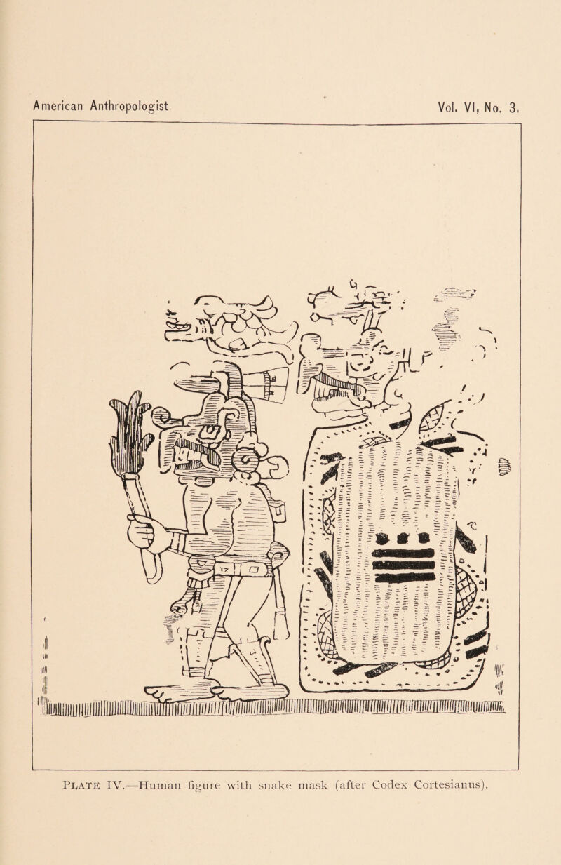 Pi,ate IV.—Human figure with snake mask (after Codex Cortesianus)