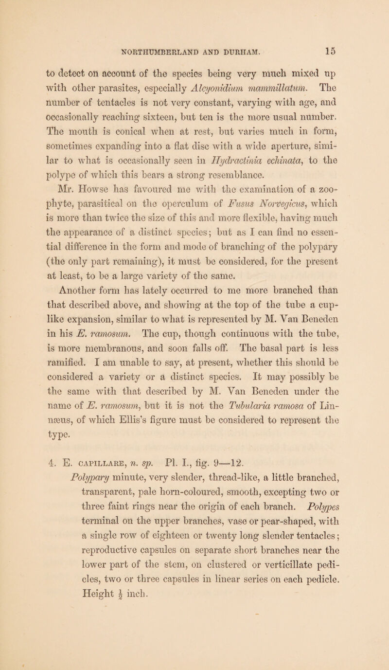to detect on account of the species being very much mixed up with other parasites, especially Alcyonidium mammillatum. The number of tentacles is not very constant, varying with age, and occasionally reaching sixteen, but ten is the more usual number. The mouth is conical when at rest, but varies much in form, sometimes expanding into a flat disc with a wide aperture, simi¬ lar to what is occasionally seen in Hy dr actinia echinata, to the polype of which this bears a strong resemblance. Mr. Howse has favoured me with the examination of a zoo¬ phyte, parasitical on the operculum of Fusus Norvegicus, which is more than twice the size of this and more flexible, having much the appearance of a distinct species; but as I can find no essen¬ tial difference in the form and mode of branching of the polypary (the only part remaining), it must be considered, for the present at least, to be a large variety of the same. Another form has lately occurred to me more branched than that described above, and showing at the top of the tube a cup- like expansion, similar to what is represented by M. Van Beneden in his E. ramosum. The cup, though continuous with the tube, is more membranous, and soon falls off. The basal part is less ramified. I am unable to say, at present, whether this should be considered a variety or a distinct species. It may possibly be the same with that described by M. Van Beneden under the name of E. ramosum, but it is not the Tubularia ramosa of Lin¬ naeus, of which Ellis’s figure must be considered to represent the type. 4. E. capillare, n. sp. PL I., fig. 9-—12. Polypary minute, very slender, thread-like, a little branched, transparent, pale horn-coloured, smooth, excepting two or three faint rings near the origin of each branch. Polypes terminal on the upper branches, vase or pear-shaped, with a single row of eighteen or twenty long slender tentacles; reproductive capsules on separate short branches near the lower part of the stem, on clustered or verticillate pedi¬ cles, two or three capsules in linear series on each pedicle. Height \ inch.