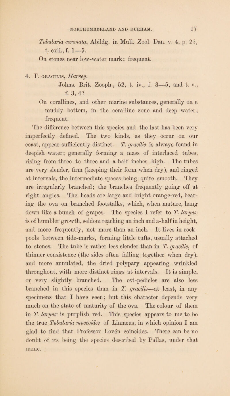 Tubularia coronata, Abildg. in Mull. Zool, Dan. v. 4, p. 25, t. cxli., f. 1—5. On stones near low-water mark; frequent. 4. T. gracilis, Harvey. Johns. Brit. Zooph., 52, t. iv., f. 3—5, and t. v., f. 3, 4? On corallines, and other marine substances, generally on a muddy bottom, in the coralline zone and deep water; frequent. The difference between this species and the last has been very imperfectly defined. The two kinds, as they occur on our coast, appear sufficiently distinct. T. gracilis is always found in deepish water; generally forming a mass of interlaced tubes, rising from three to three and a-half inches high. The tubes are very slender, firm (keeping their form when dry), and ringed at intervals, the intermediate spaces being quite smooth. They are irregularly branched; the branches frequently going off at right angles. The heads are large and bright orange-red, bear¬ ing the ova on branched footstalks, which, when mature, hang down like a bunch of grapes. The species I refer to T. larynx is of humbler growth, seldom reaching an inch and a-half in height, and more frequently, not more than an inch. It lives in rock- pools between tide-marks, forming little tufts, usually attached to stones. The tube is rather less slender than in T. gracilis, of thinner consistence (the sides often falling together when dry), and more annulated, the dried polypary appearing wrinkled throughout, with more distinct rings at intervals. It is simple, or very slightly branched. The ovi-pedicles are also less branched in this species than in T. gracilis—at least, in any specimens that I have seen; but this character depends very much on the state of maturity of the ova. The colour of them in T. larynx is purplish red. This species appears to me to be the true Tubularia muscoides of Linnseus, in which opinion I am glad to find that Professor Lov6n coincides. There can be no doubt of its being the species described by Pallas, under that name.