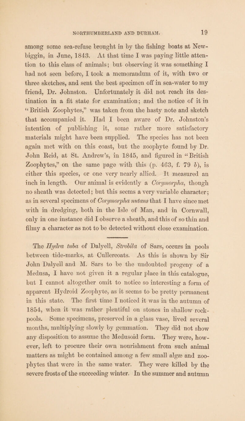 among some sea-refuse brought in by the fishing boats at New- biggin, in June, 1843. At that time I was paying little atten¬ tion to this class of animals; but observing it was something I had not seen before, I took a memorandum of it, with two or three sketches, and sent the best specimen off in sea-water to my friend, Dr. Johnston. Unfortunately it did not reach its des¬ tination in a fit state for examination; and the notice of it in u British Zoophytes,” was taken from the hasty note and sketch that accompanied it. Had I been aware of Dr. Johnston’s intention of publishing it, some rather more satisfactory materials might have been supplied. The species has not been again met with on this coast, but the zoophyte found by Dr. John Beid, at St. Andrew’s, in 1845, and figured in “ British Zoophytes,” on the same page with this (p. 463, f. 79 5), is either this species, or one very nearly allied. It measured an inch in length. Our animal is evidently a Corymorpha, though no sheath was detected; but this seems a very variable character; as in several specimens of Corymorpha nutans that I have since met with in dredging, both in the Isle of Man, and in Cornwall, only in one instance did I observe a sheath, and this of so thin and filmy a character as not to be detected without close examination. The Hydra tuba of Dalyell, Strobila of Bars, occurs in pools between tide-marks, at Cullercoats. As this is shown by Sir John Dalyell and M. Sars to be the undoubted progeny of a Medusa, I have not given it a regular place in this catalogue, but I cannot altogether omit to notice so interesting a form of apparent Hydroid Zoophyte, as it seems to be pretty permanent in this state. The first time I noticed it was in the autumn of 1854, when it was rather plentiful on stones in shallow rock- pools. Some specimens, preserved in a glass vase, lived several months, multiplying slowly by gemmation. They did not show any disposition to assume the Medusoid form. They were, how¬ ever, left to procure their own nourishment from such animal matters as might be contained among a few small algae and zoo¬ phytes that were in the same water. They were killed by the severe frosts of the succeeding winter. In the summer and autumn