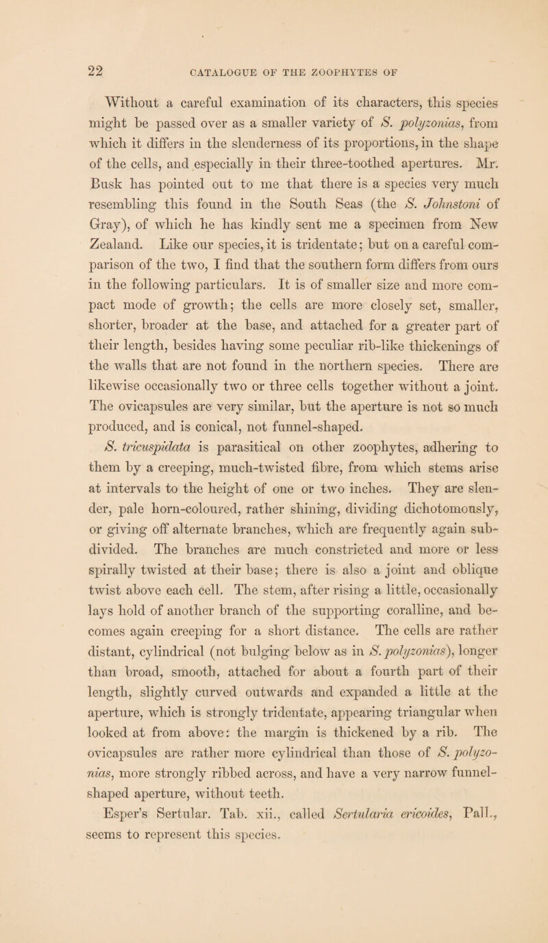 Without a careful examination of its characters, this species might he passed over as a smaller variety of S. polyzonias, from which it differs in the slenderness of its proportions, in the shape of the cells, and especially in their three-toothed apertures. Mr, Busk has pointed out to me that there is a species very much resembling this found in the South Seas (the S. Johnstoni of Gray), of which he has kindly sent me a specimen from New Zealand. Like our species, it is tridentate; hut on a careful com¬ parison of the two, I find that the southern form differs from ours in the following particulars. It is of smaller size and more com¬ pact mode of growth; the cells are more closely set, smaller, shorter, broader at the base, and attached for a greater part of their length, besides having some peculiar rib-like thickenings of the walls that are not found in the northern species. There are likewise occasionally two or three cells together without a joint. The ovicapsules are very similar, but the aperture is not so much produced, and is conical, not funnel-shaped. S. tricuspidata is parasitical on other zoophytes, adhering to them by a creeping, much-twisted fibre, from which stems arise at intervals to the height of one or two inches. They are slen¬ der, pale horn-coloured, rather shining, dividing dichotomously, or giving off alternate branches, which are frequently again sub¬ divided. The branches are much constricted and more or less spirally twisted at their base; there is also a joint and oblique twist above each cell. The stem, after rising a little, occasionally lays hold of another branch of the supporting coralline, and be¬ comes again creeping for a short distance. The cells are rather distant, cylindrical (not bulging below as in S. polyzonias), longer than broad, smooth, attached for about a fourth part of their length, slightly curved outwards and expanded a little at the aperture, which is strongly tridentate, appearing triangular when looked at from above: the margin is thickened by a rib. The ovicapsules are rather more cylindrical than those of S. polyzo¬ nias, more strongly ribbed across, and have a very narrow funnel- shaped aperture, without teeth. Esper’s Sertular. Tab. xii., called Sertulciria ericoides, Pali,, seems to represent this species.